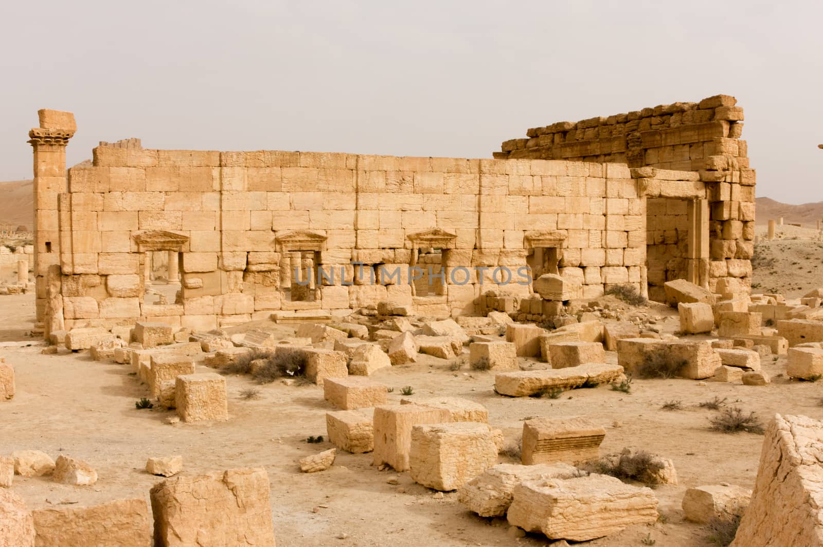 Palmyre Syria 2009 This ancient site has many Roman ruins, these standing columns shot in late afternoon sun with the citadel on the hill in the background . High quality photo