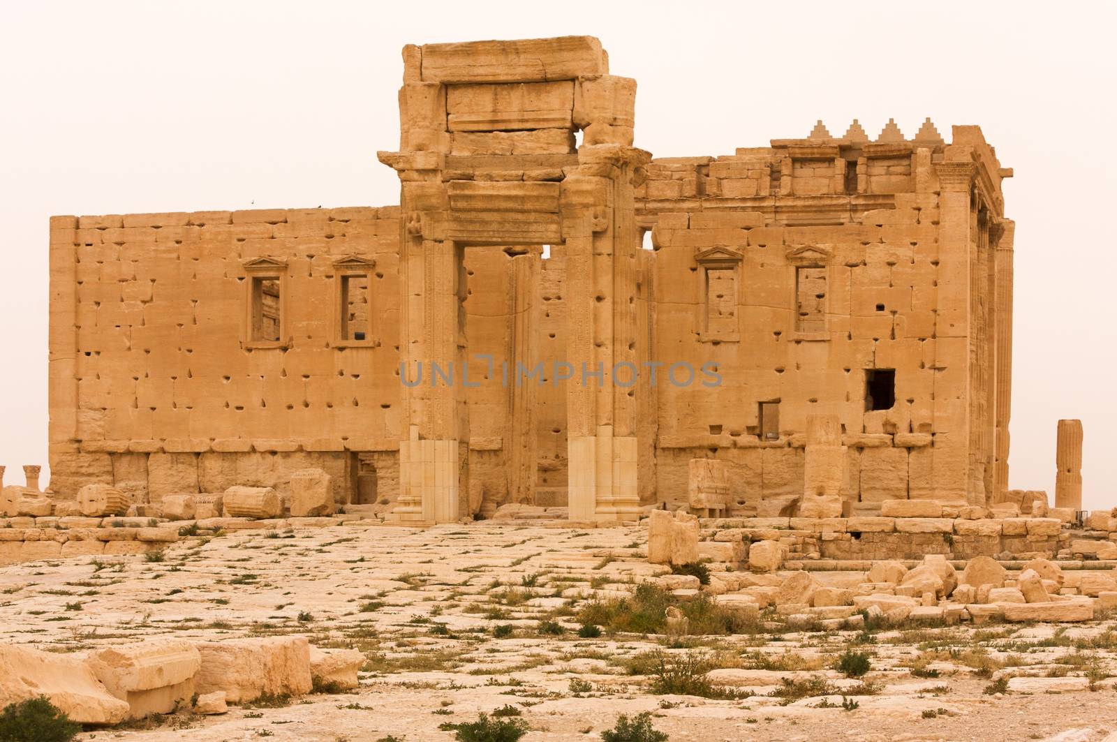 Palmyre Syria 2009 The ruins of an ancient city dating from the Roman period by kgboxford