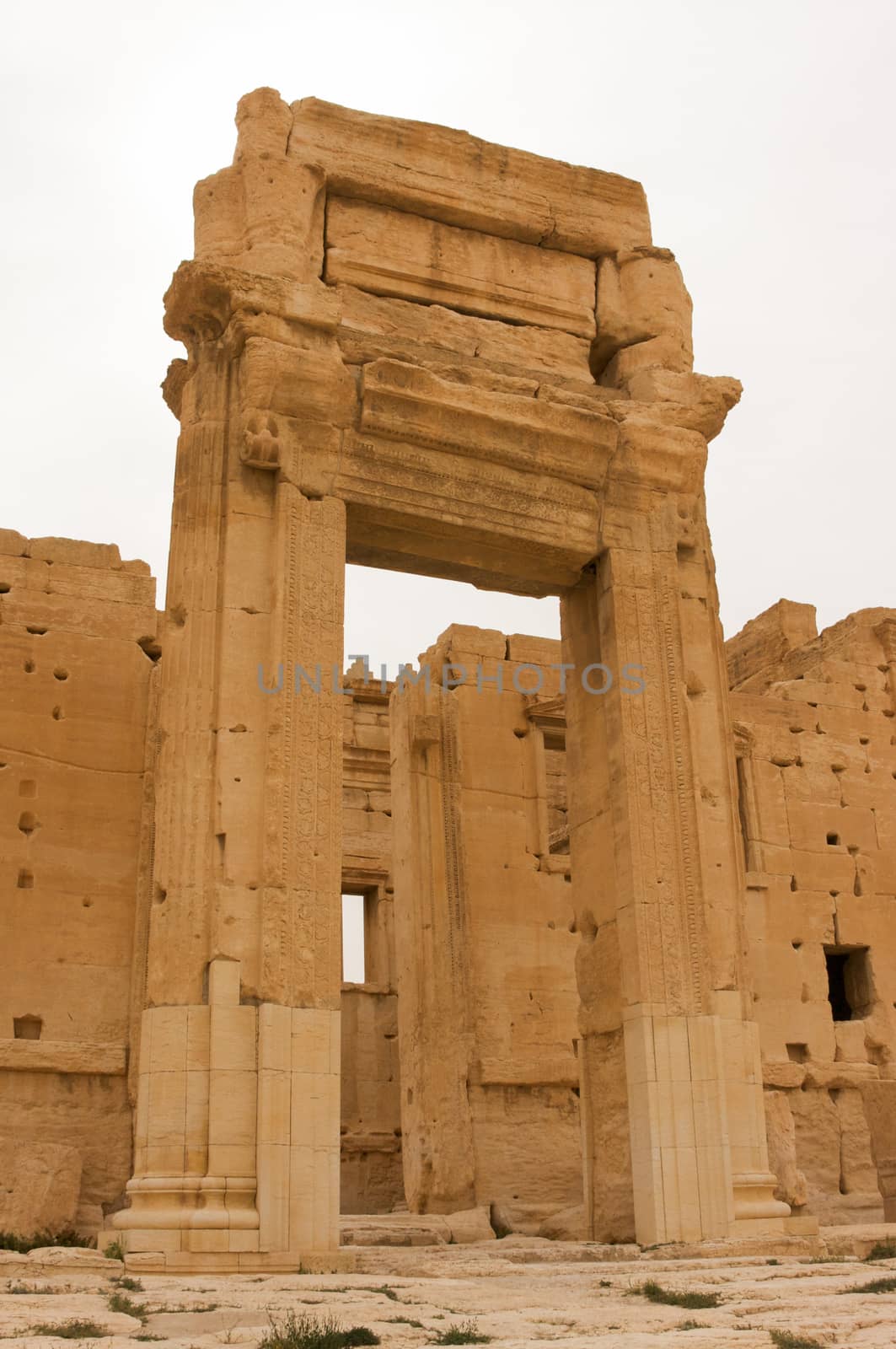 Palmyre Syria 2009 This ancient site has many Roman ruins, these standing columns shot in late afternoon sun with the citadel on the hill in the background . High quality photo