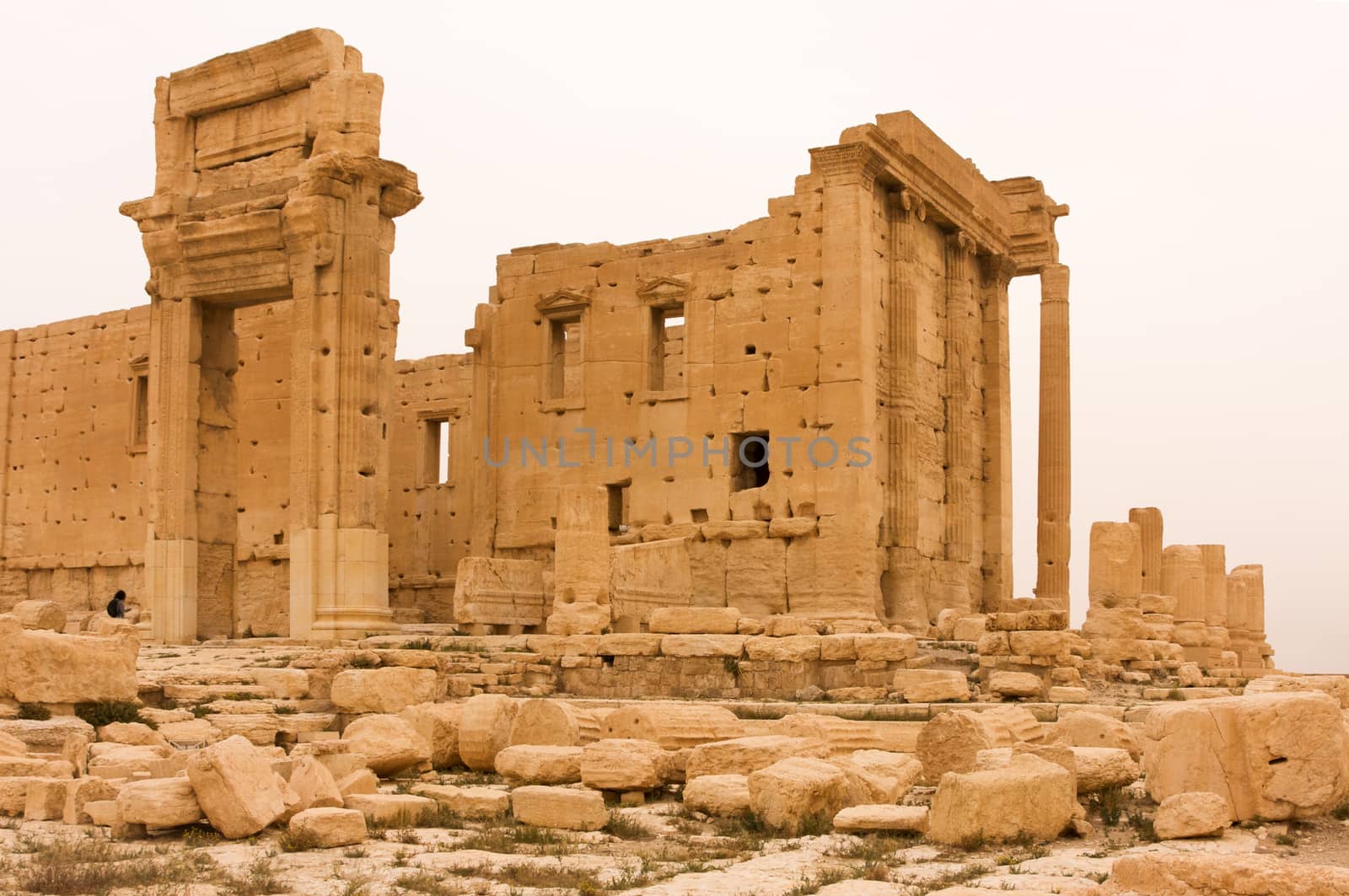 Palmyre Syria 2009 This ancient site has many Roman ruins, these standing columns shot in late afternoon sun with the citadel on the hill in the background . High quality photo