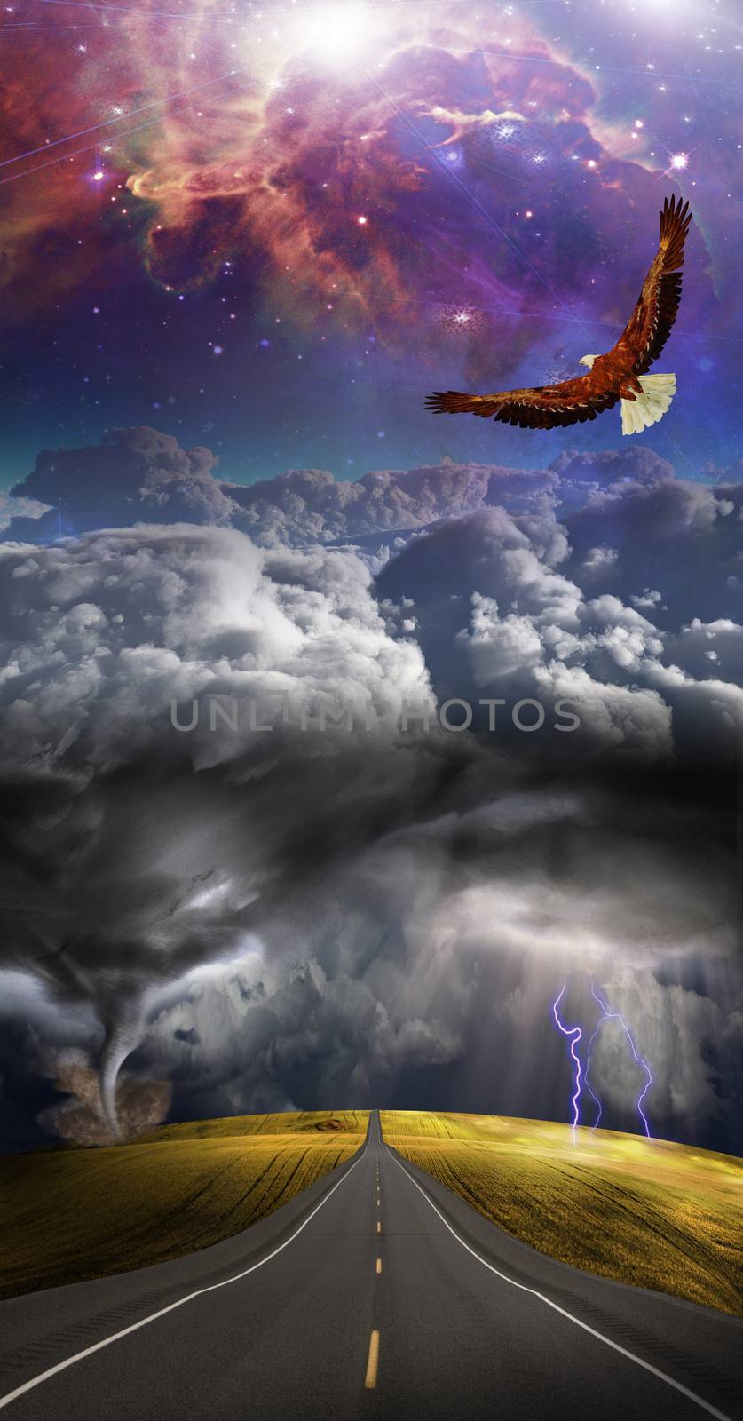 Above the storm by applesstock