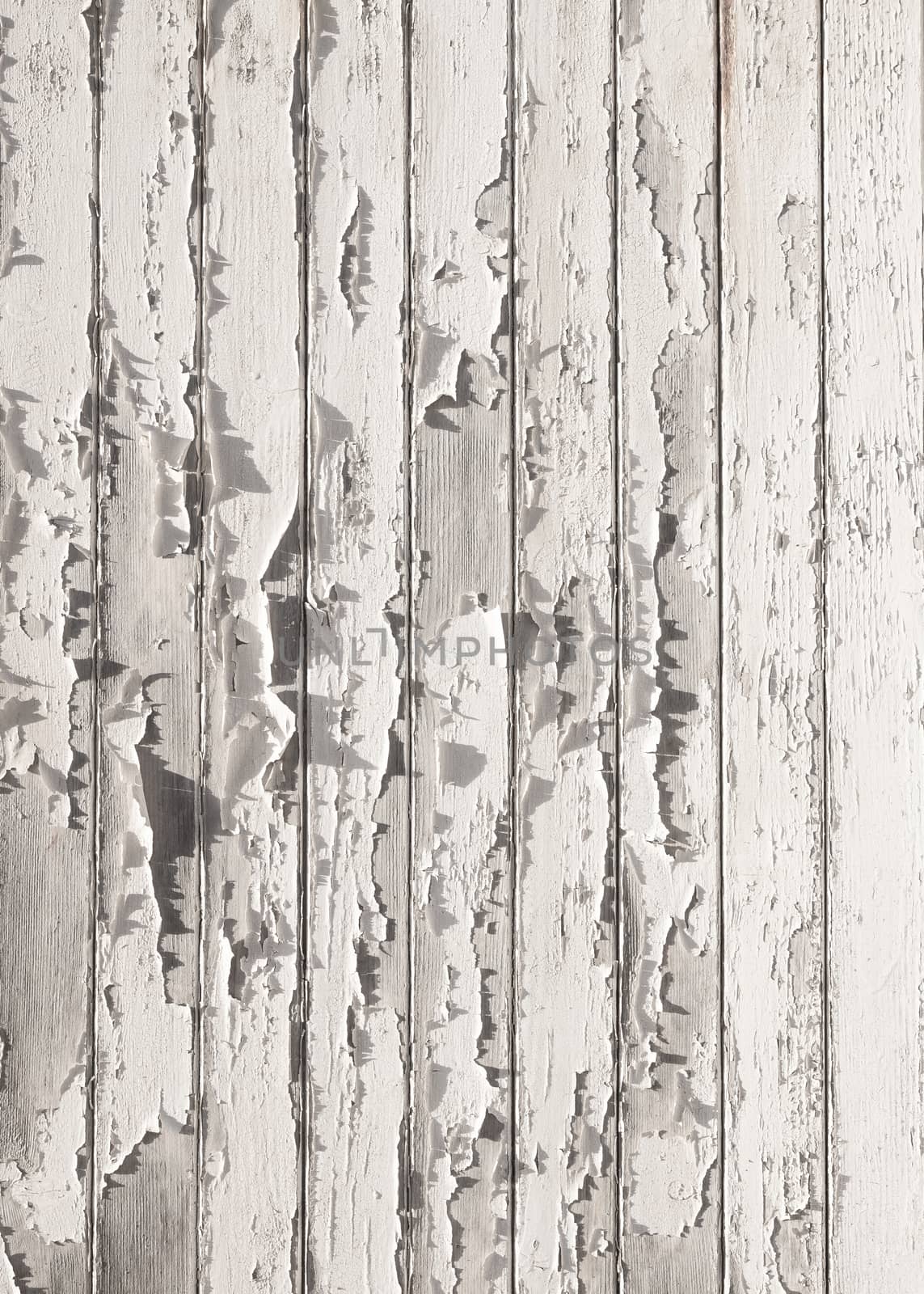 abstract pattern of old white cracked paint on vertical wooden planks