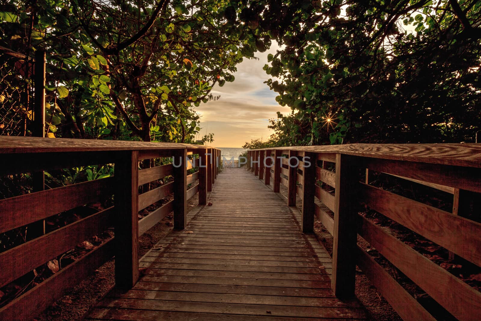 Boardwalk leading toward Delnor Wiggins State Park at sunset in Naples, Florida.