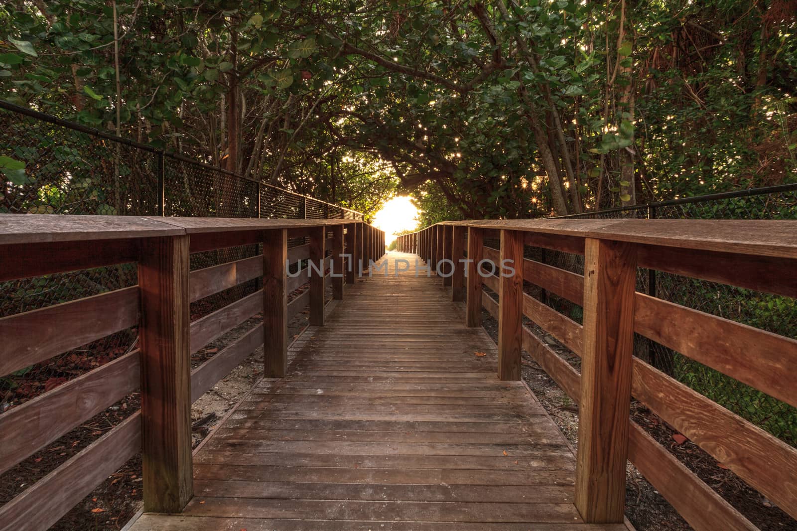 Boardwalk leading toward Delnor Wiggins State Park at sunset by steffstarr