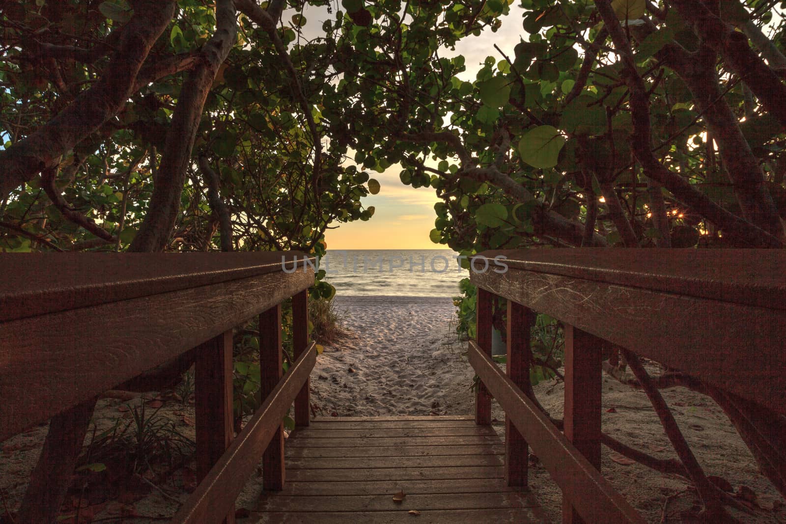 Boardwalk leading toward Delnor Wiggins State Park at sunset by steffstarr