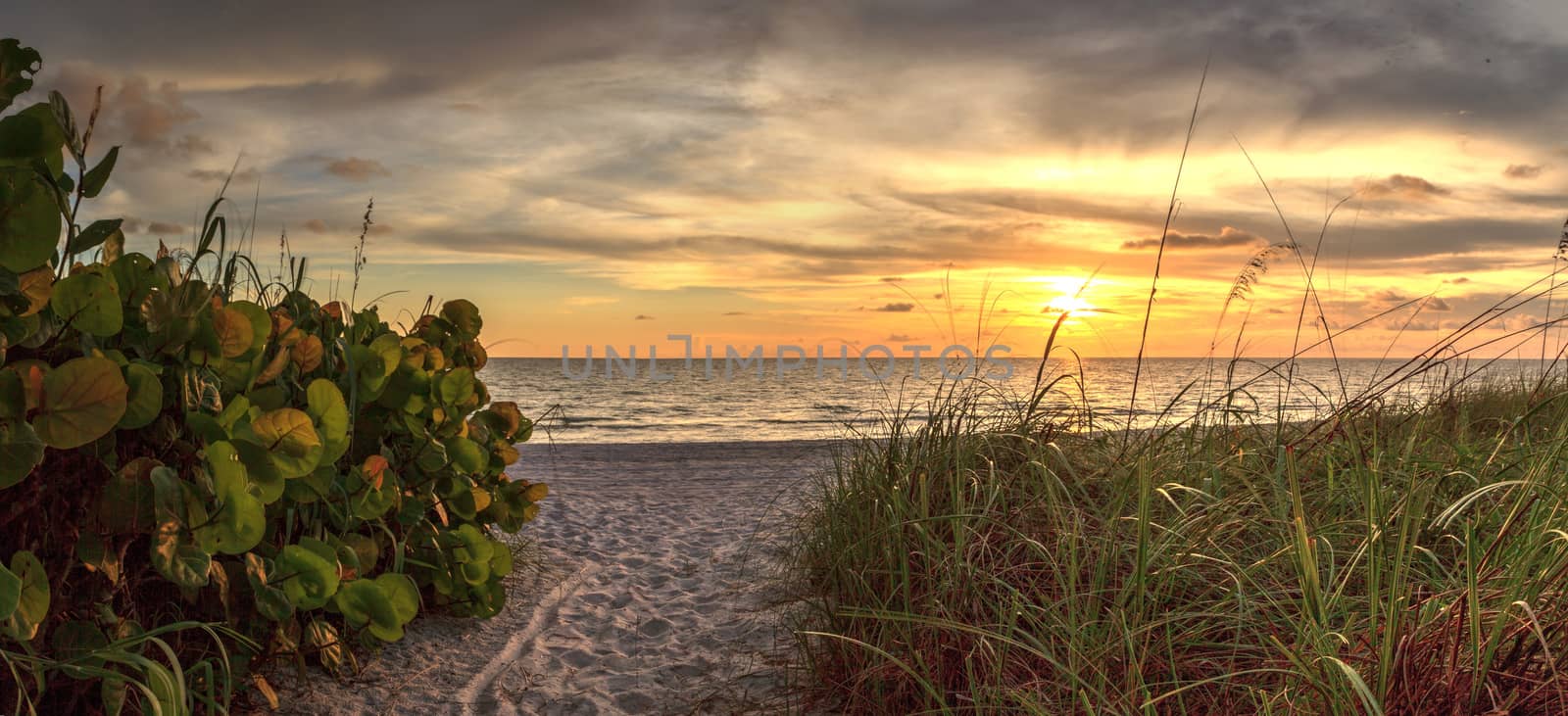 White sand path leading toward Delnor Wiggins State Park at sunset in Naples, Florida.