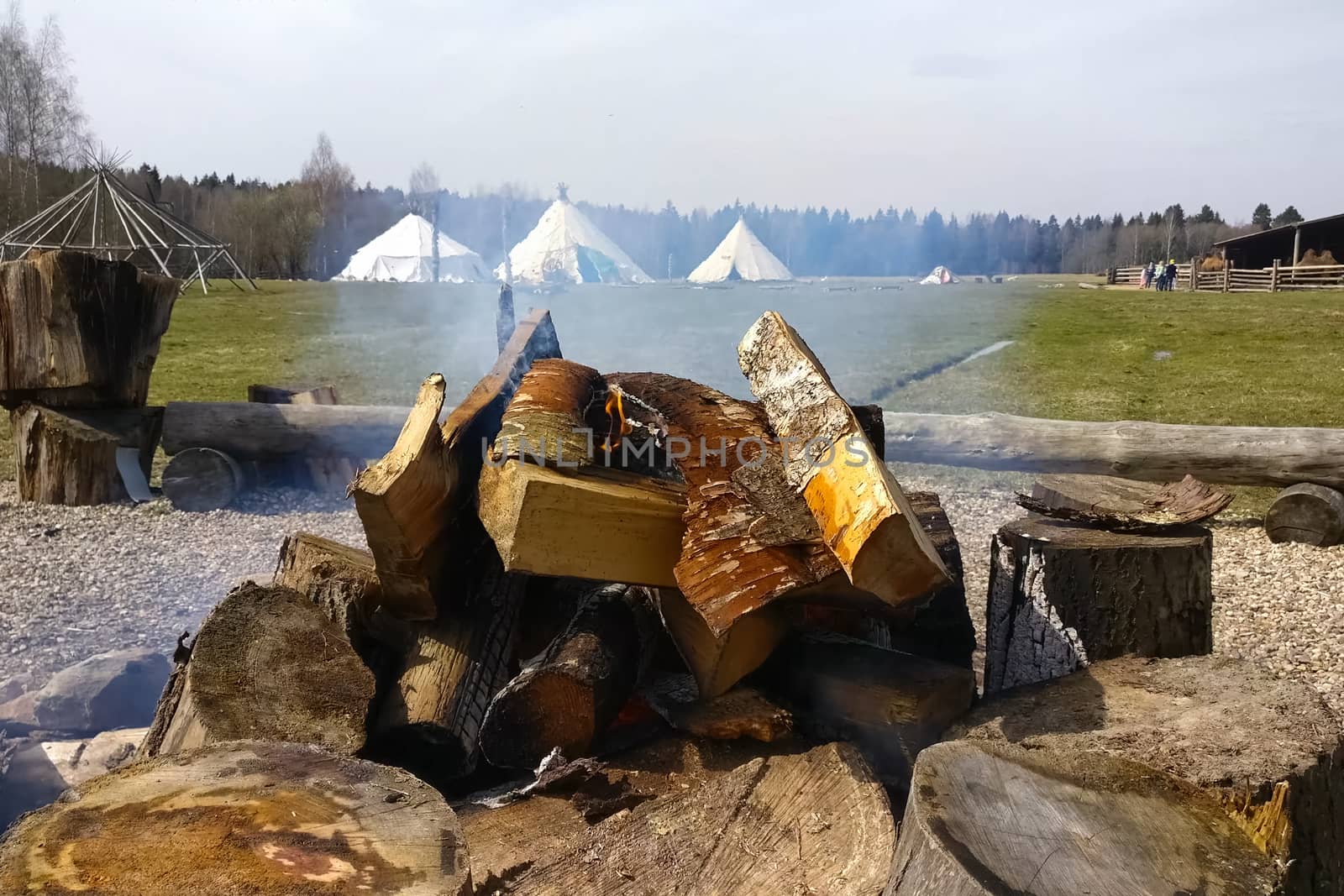A bonfire of birch logs is burning. The fire.