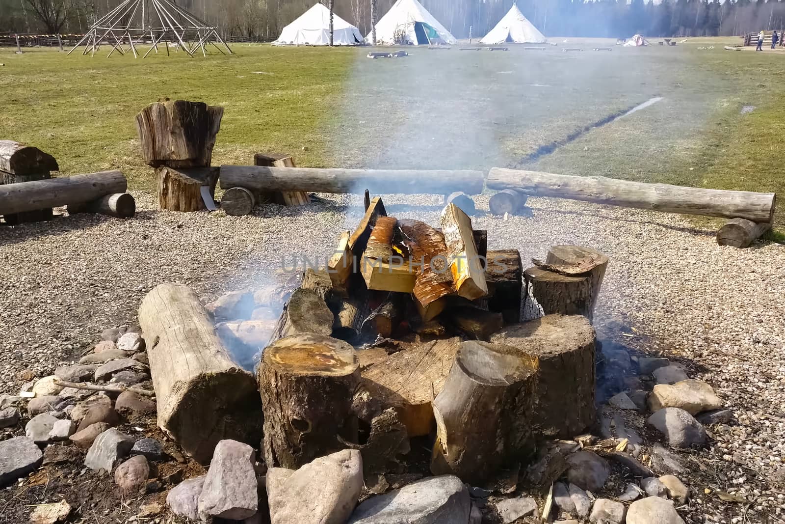 A bonfire of birch logs is burning. The fire.