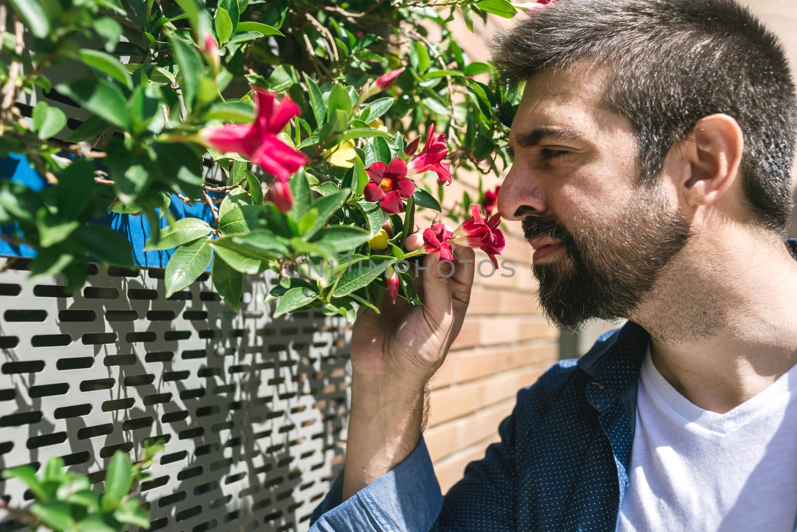 Portrait of bearded male smelling flowers in a city street