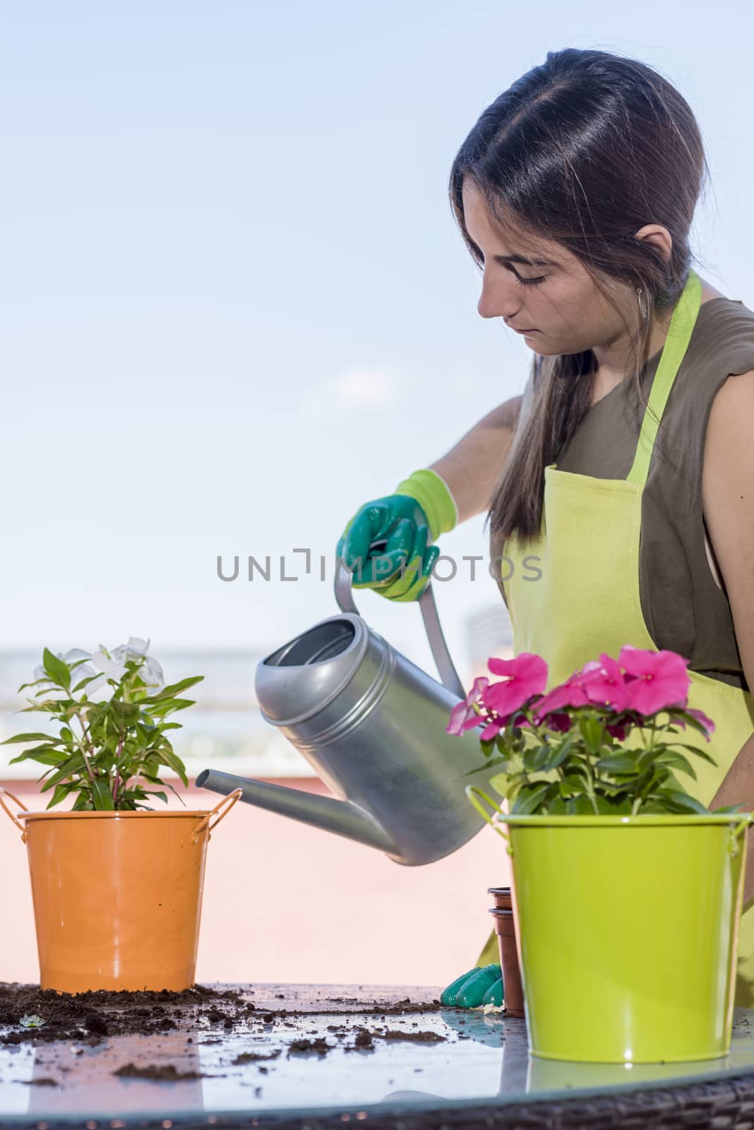 Young woman wearing a gardening apron while watering a home plant at a home terrace in a sunny day by raferto1973
