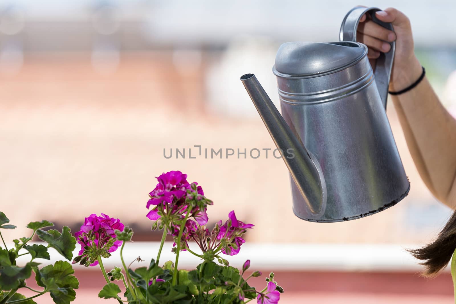 Teenager wearing a gardening apron while watering a home plant at a home terrace in a sunny day