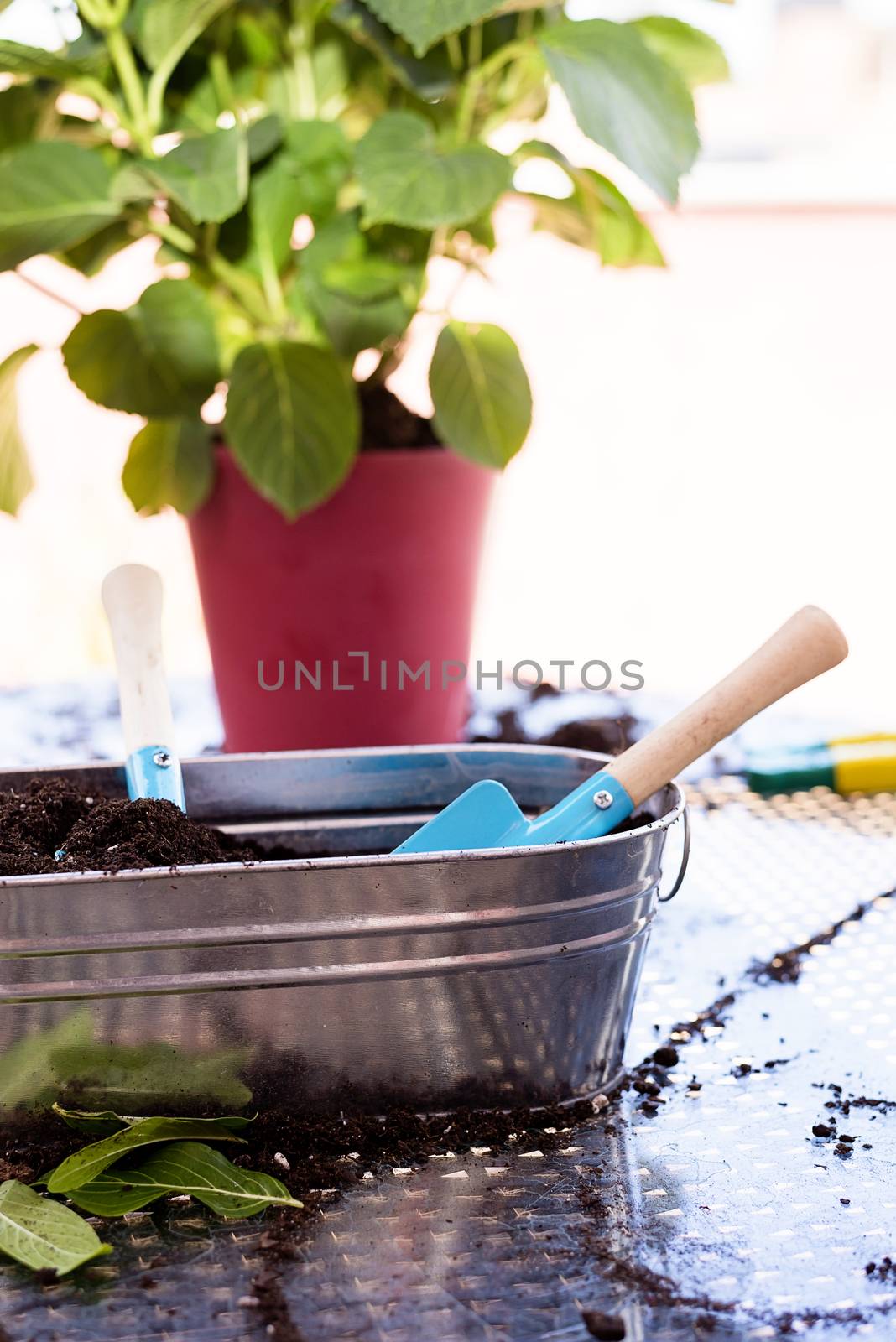 House gardening equipment on a terrace table