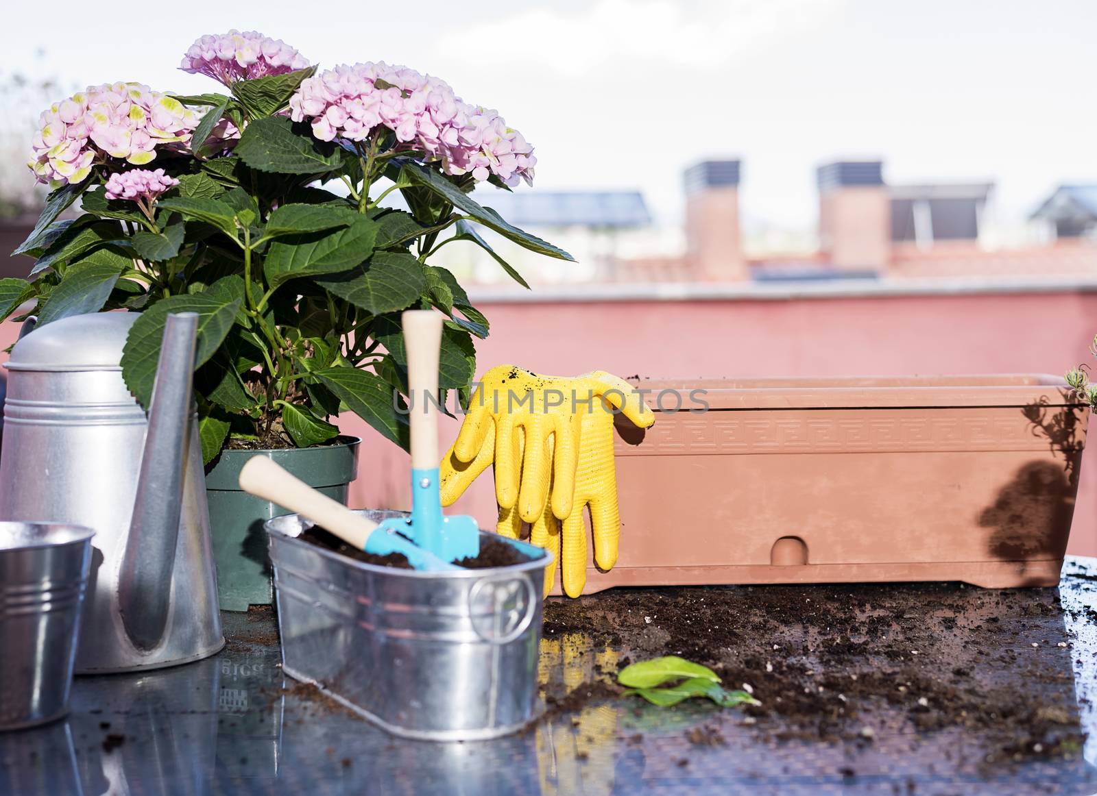 House gardening equipment on a terrace table