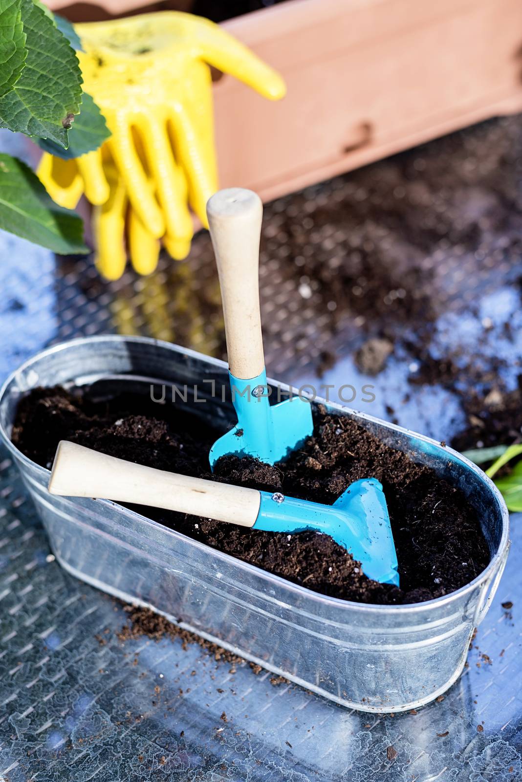 House gardening equipment on a terrace table