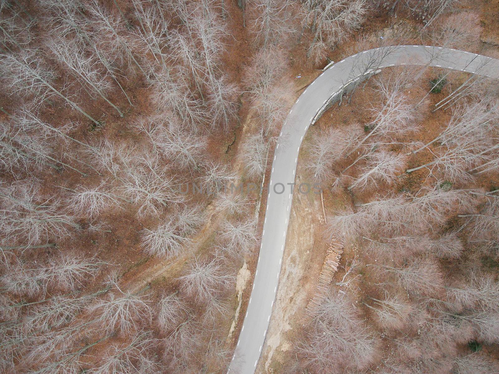 Beautiful Aerial view of  an empty road in the forest