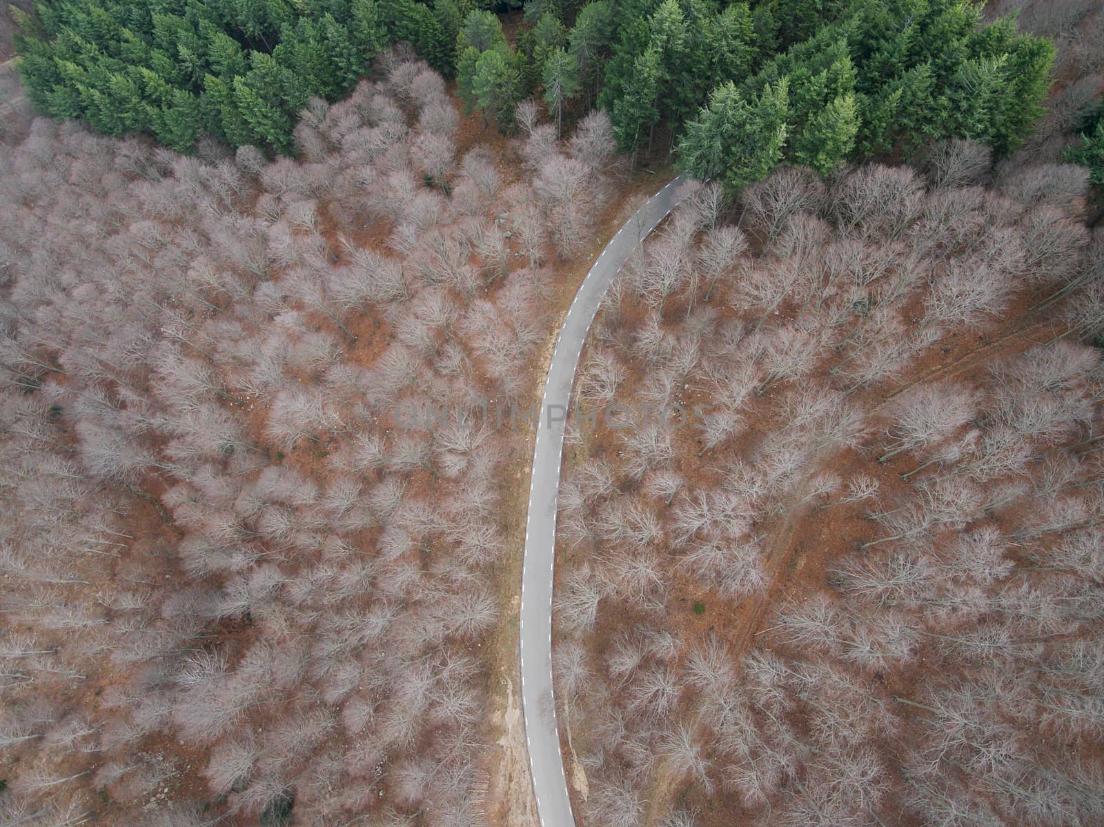 Beautiful Aerial view of  an empty road in the forest