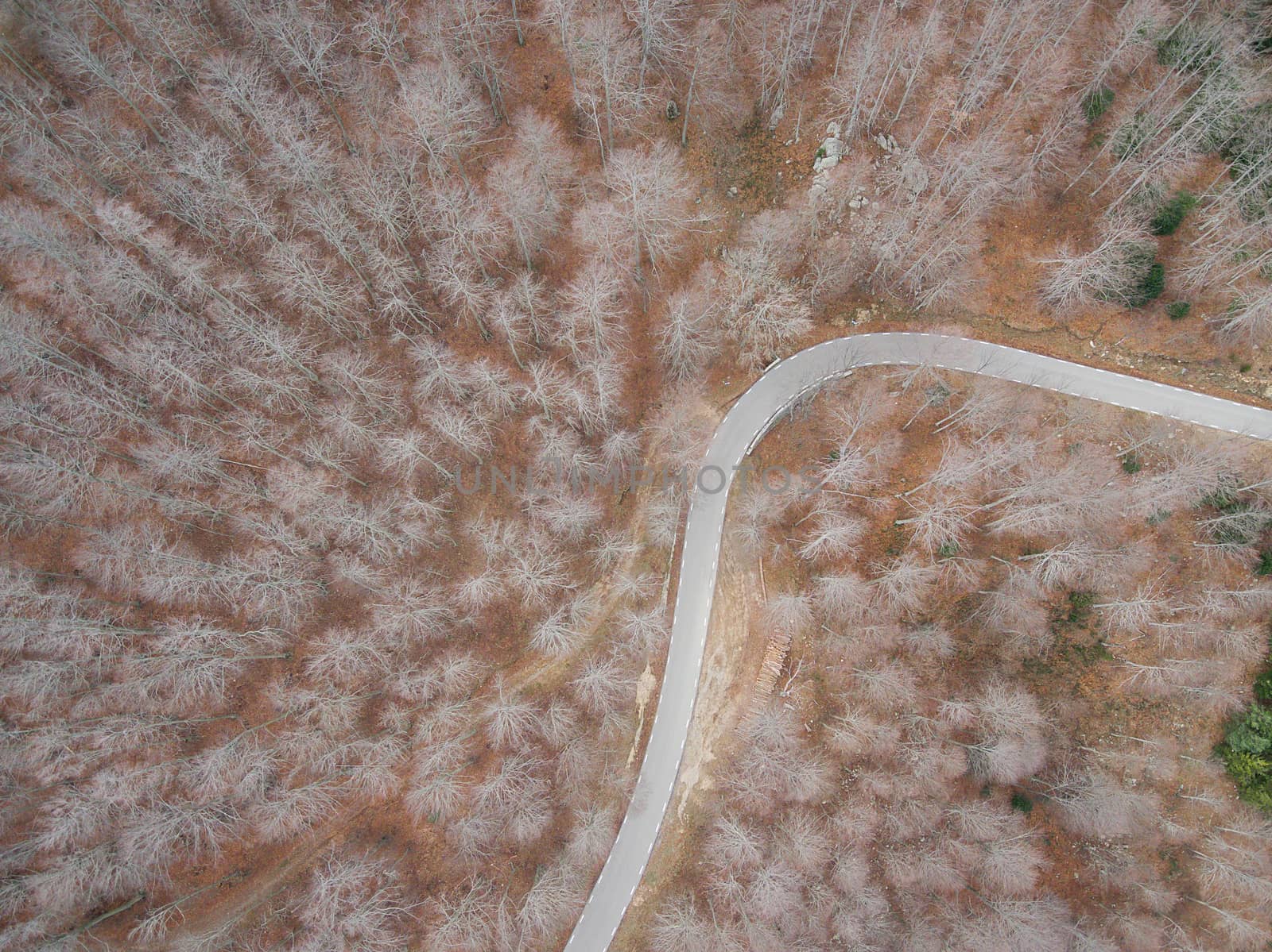 Beautiful Aerial view of  an empty road in the forest