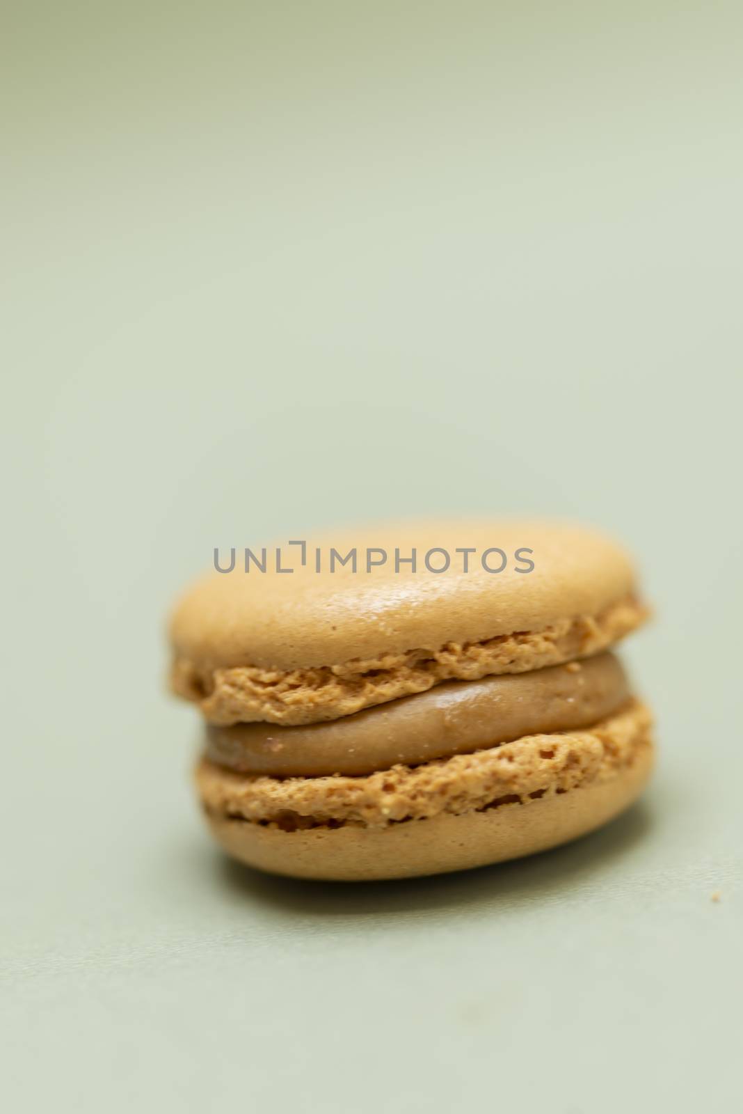 Vintage pastel colored French macaroons or macarons on green background