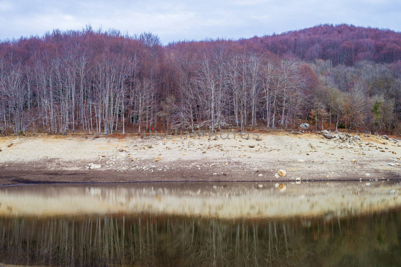 Autumn Colors and Reflections in Santa Fe Reservoir, Montseny Natural Park in Catalonia