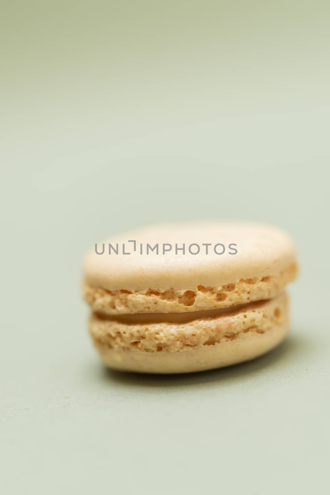 Colored tasty  macaroons over a green background.