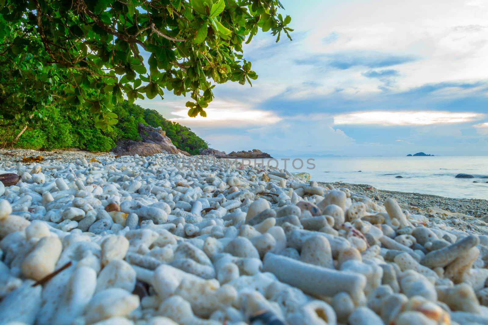 Peaceful and tropical coral turtle beach at Perhentian Islands, Malaysia, long exposure, with cloudy sky during sunset by kb79