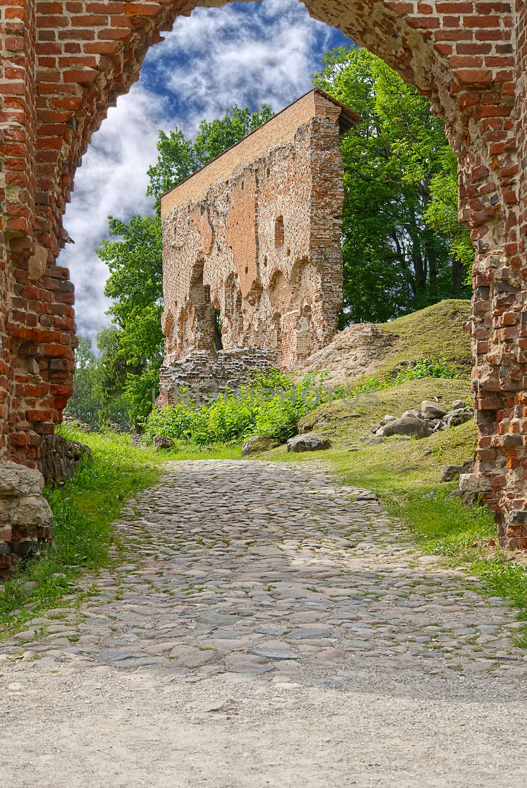 Ruins of medieval castle in Viljandi, Estonia in summer sunny day. soft focus