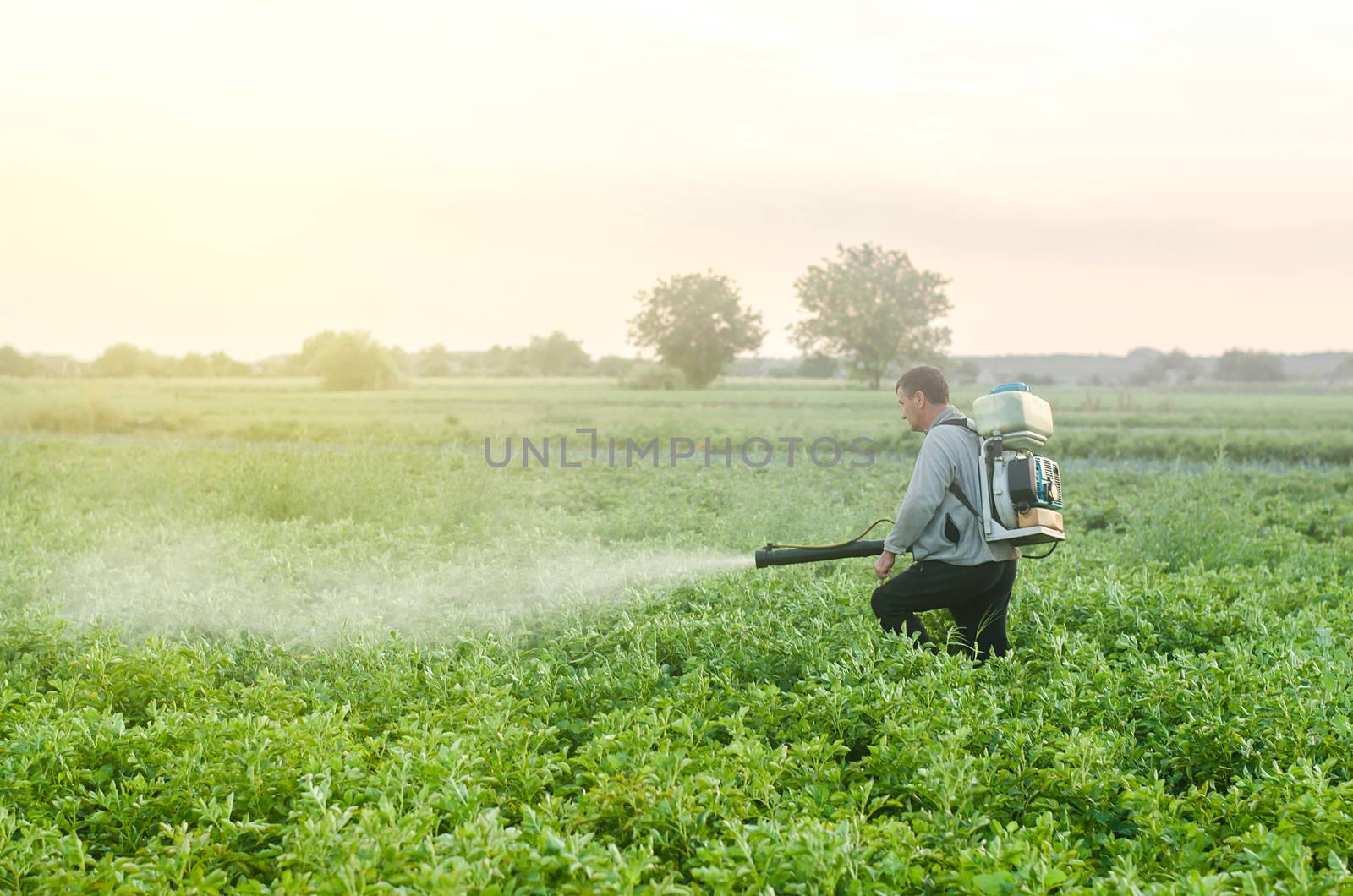 Farmer with a mist sprayer blower processes the potato plantation. Protection and care. Environmental damage and chemical pollution. Use of industrial chemicals to protect crops from insects and fungi by iLixe48