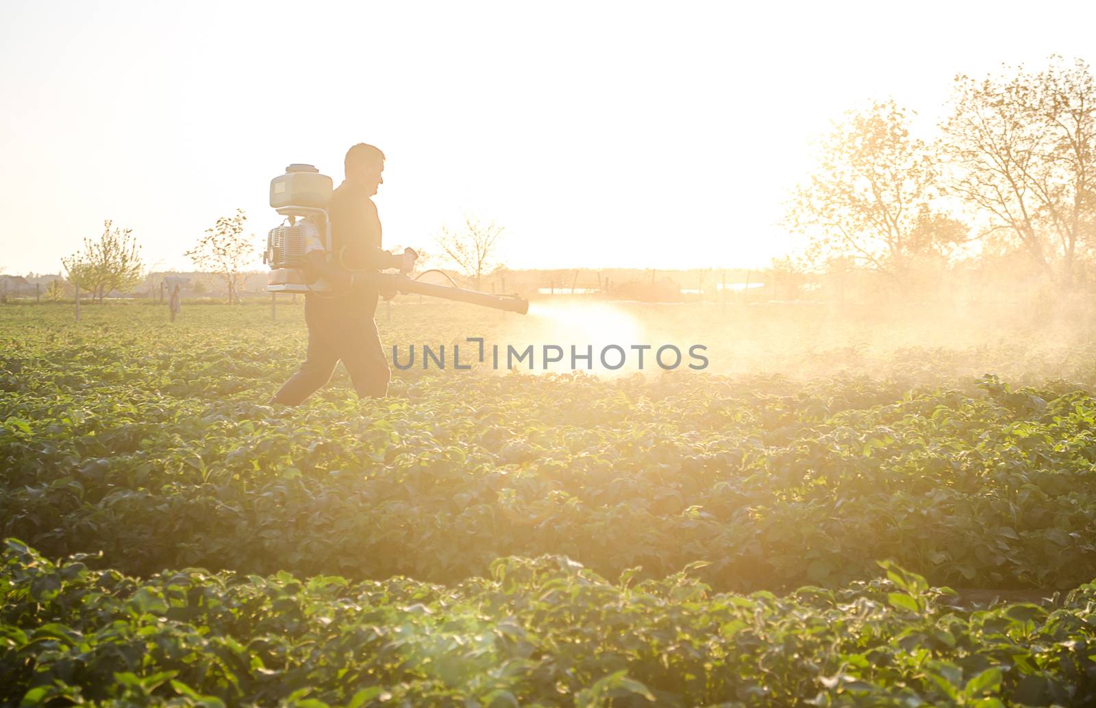 Farmer with a mist sprayer on a morning plantation. Protection and care. Use of industrial chemicals to protect crops from insects. Agriculture and agribusiness. Harvest processing by iLixe48