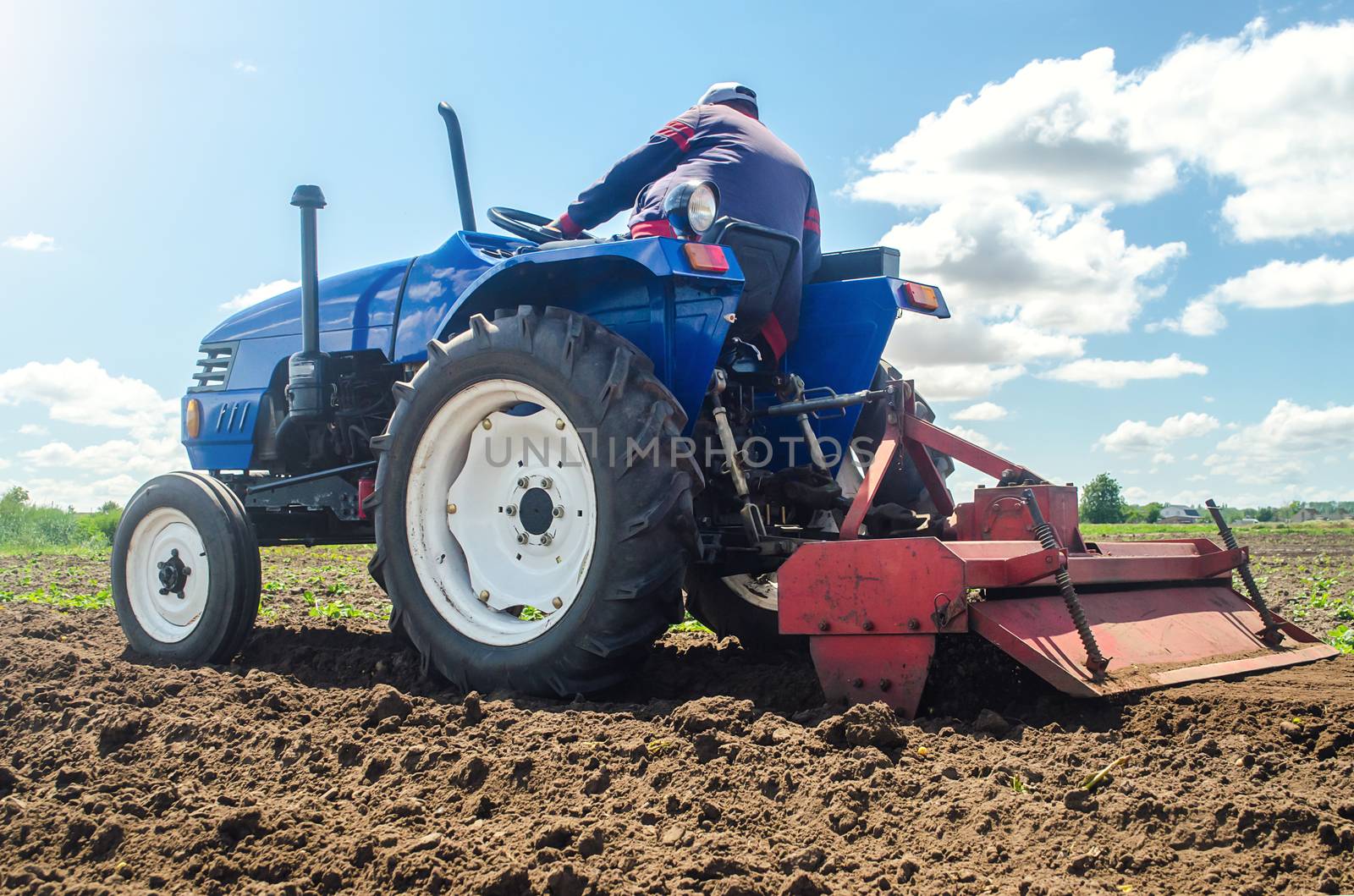 Farmer on a tractor with a milling machine processes loosens soil in the farm field. Preparation for new crop planting. Grind and mix soil on plantation. Loosening surface, cultivating the land. by iLixe48