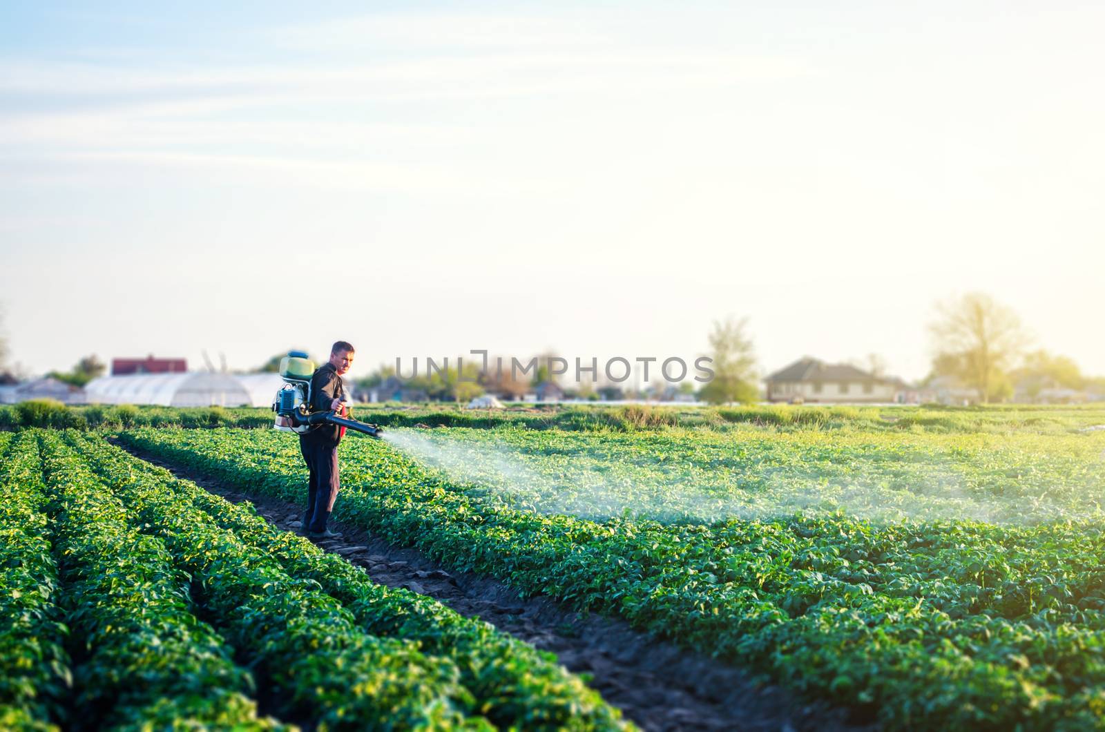 Farmer with a mist sprayer blower processes the potato plantation. Protection and care. Environmental damage and chemical pollution. Use of industrial chemicals to protect crops from insects and fungi