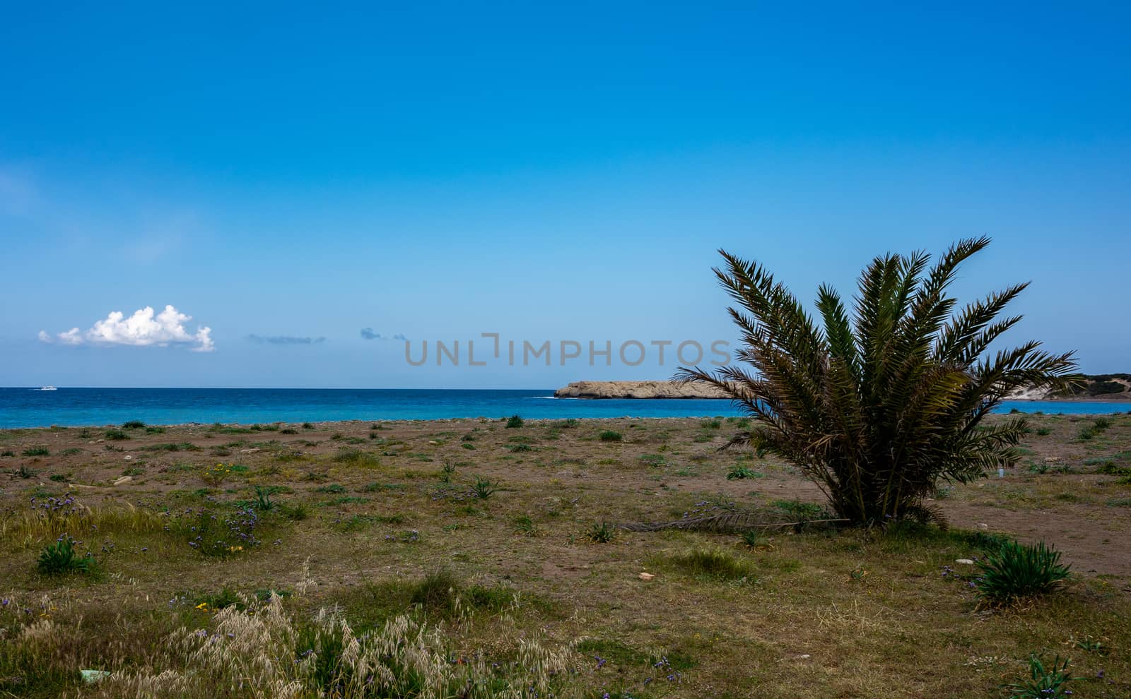 Rocky beach on the Mediterranean coast on the Akamas Peninsula on the island of Cyprus.