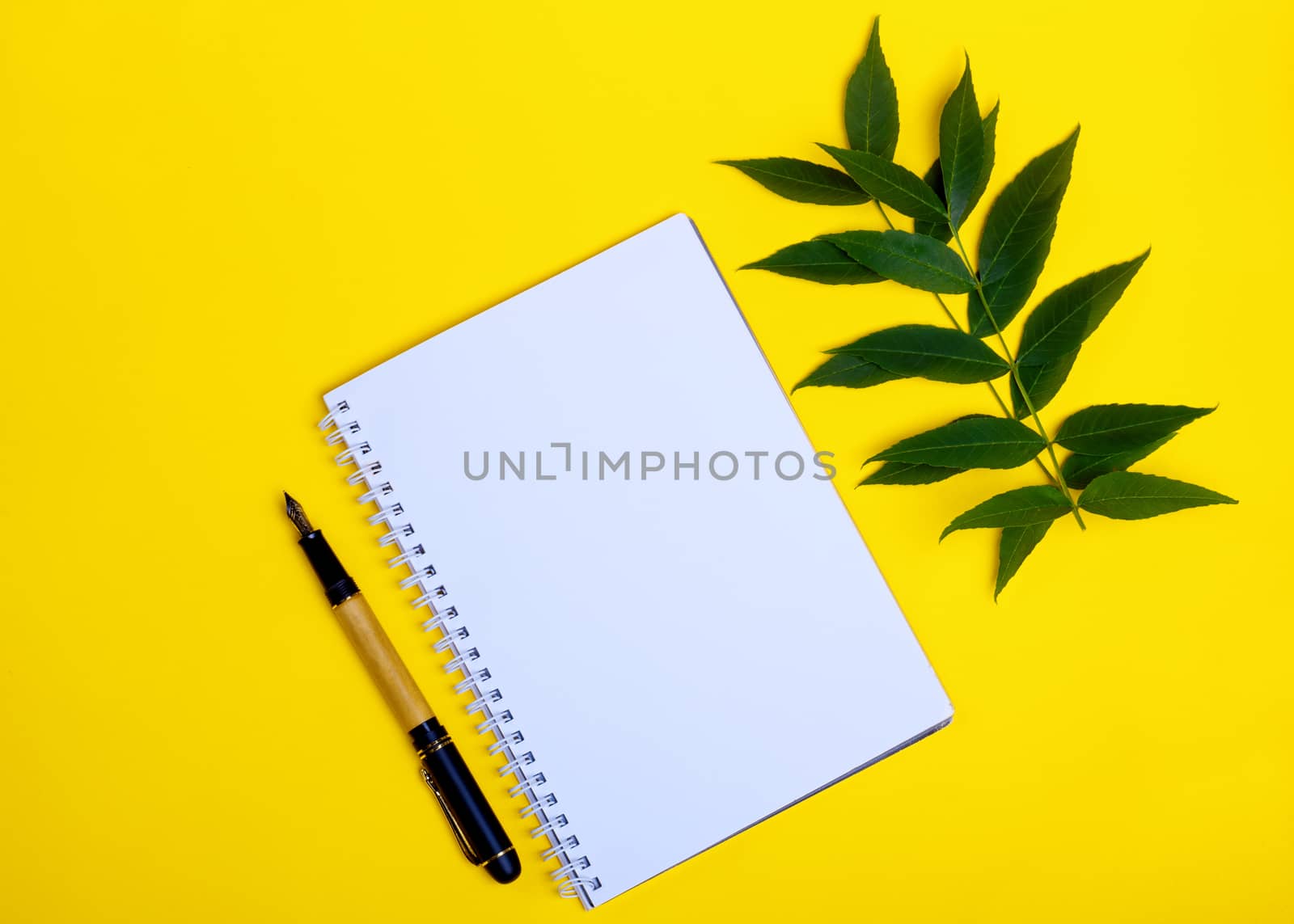 Notebook, ink pen and leaf on yellow background