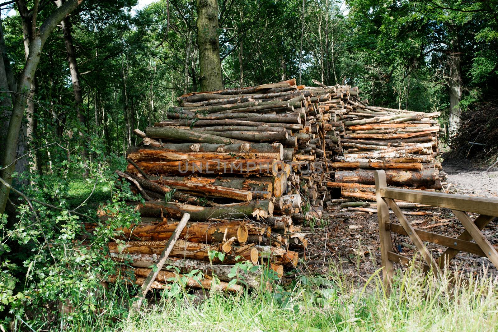 stack of wood