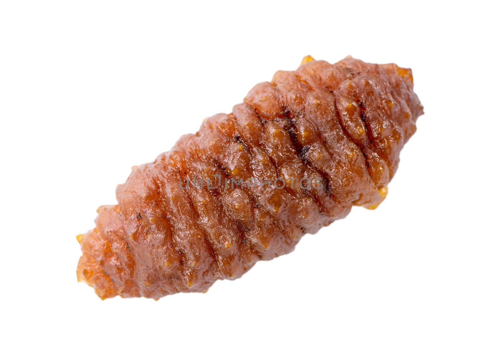 Beautiful sea cucumber seafood isolated on white background, clipping path, cut out, close up.