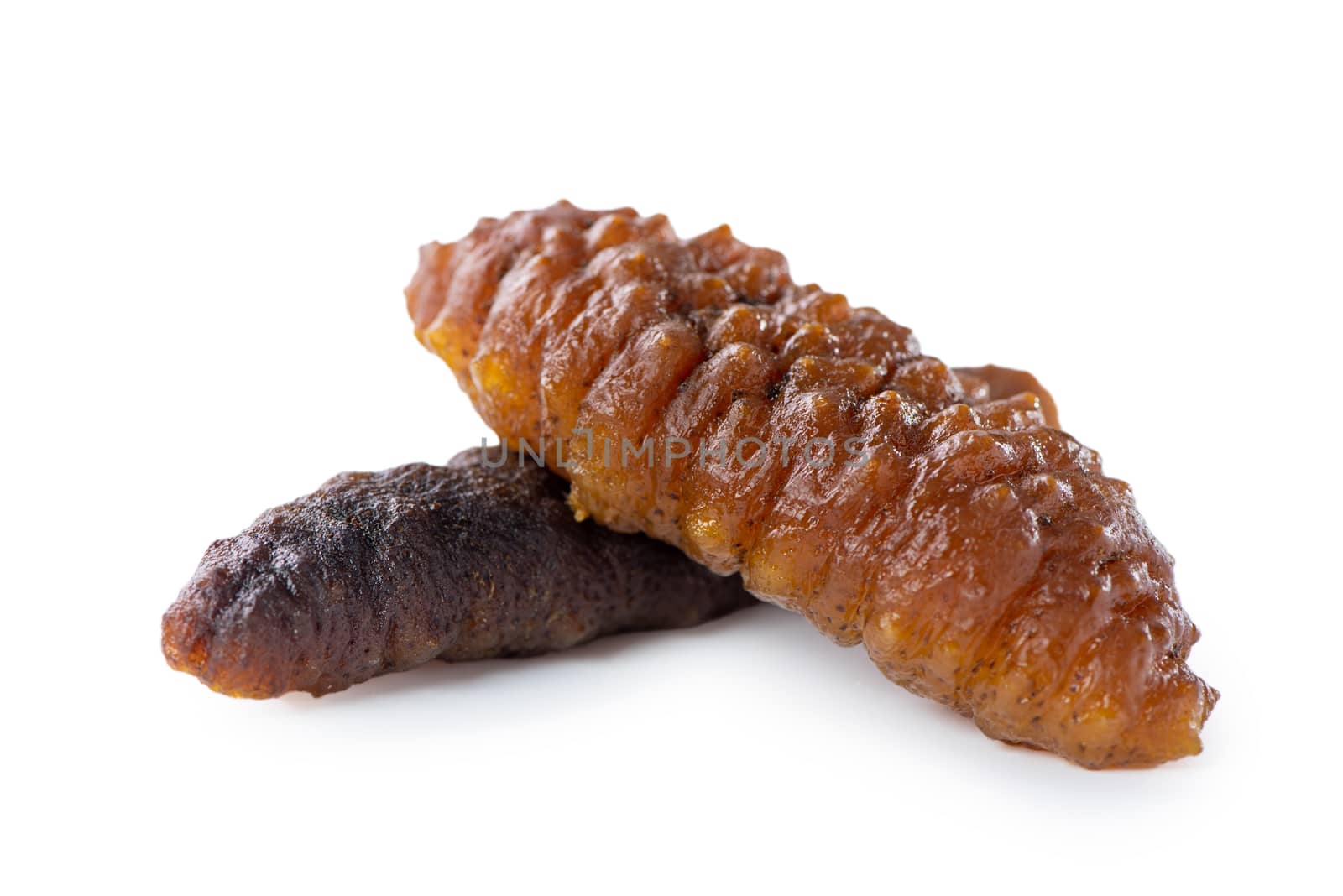 Beautiful sea cucumber seafood isolated on white background, clipping path, cut out, close up.