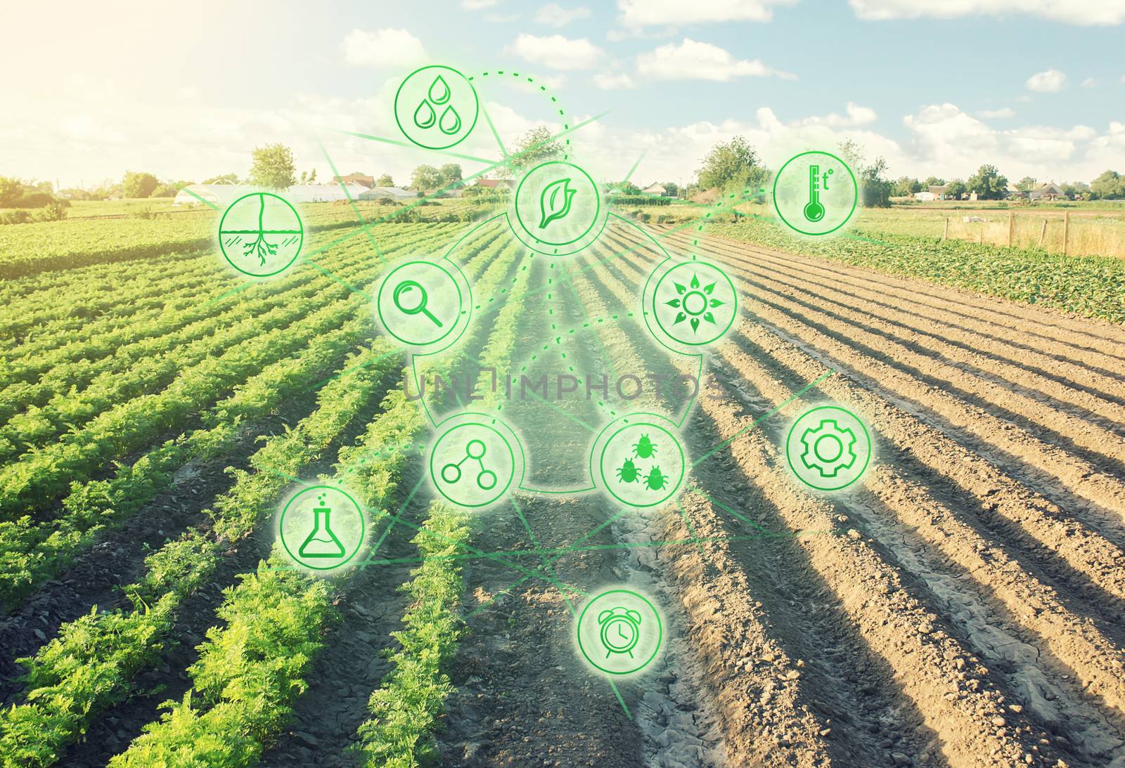 Futuristic innovative technology pictogram on a Half planted field with and second part is ready for sowing. Converting to agricultural land. Land cultivation. European organic farming.
