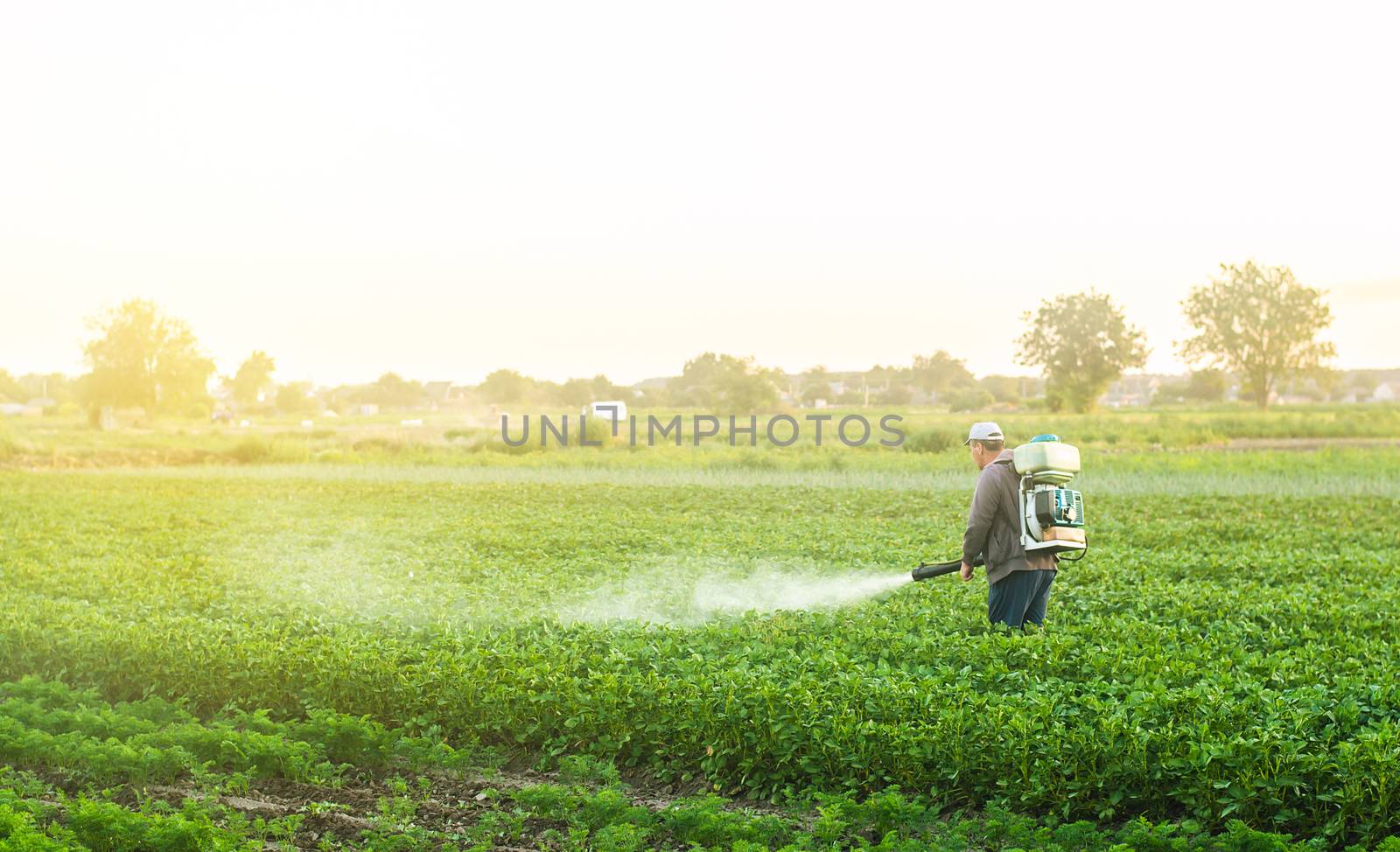 A farmer with a mist sprayer blower processes the potato plantation from pests and fungus infection. Harvest processing. Protection and care. Use chemicals in agriculture. Agriculture and agribusiness