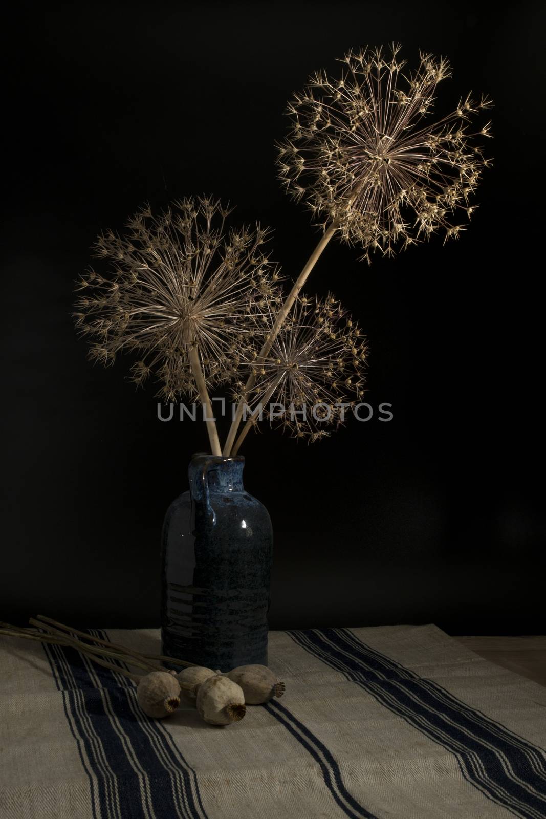 vertical still life of blue vase with dried onion bulb flowers with the seeds in them