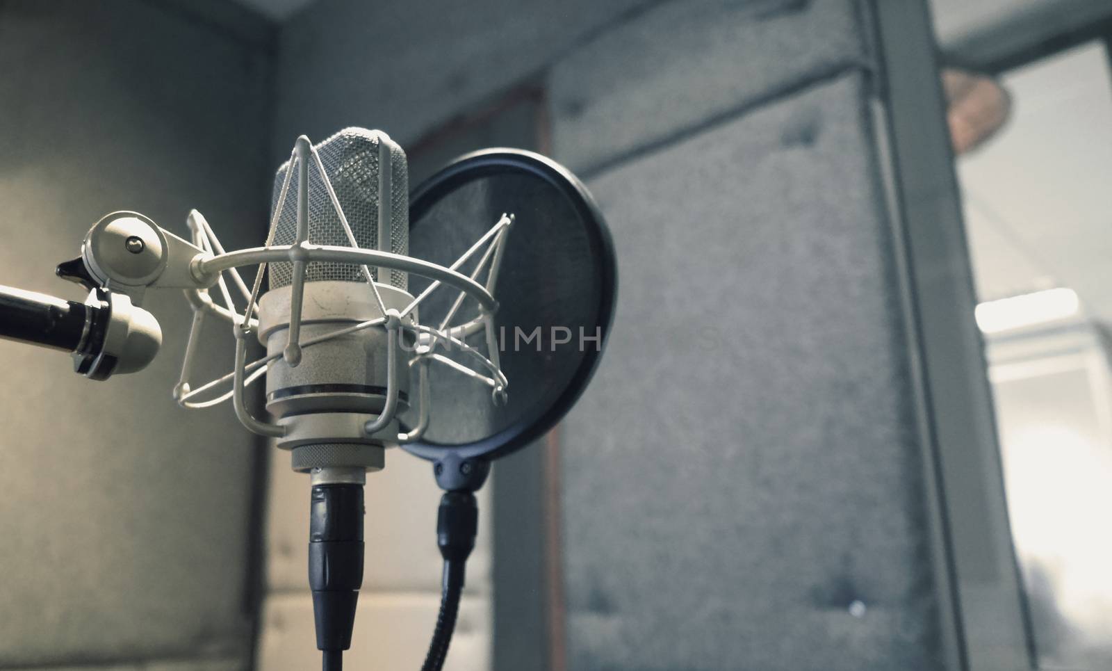 Studio microphone with shock mount and pop filter  by gnepphoto