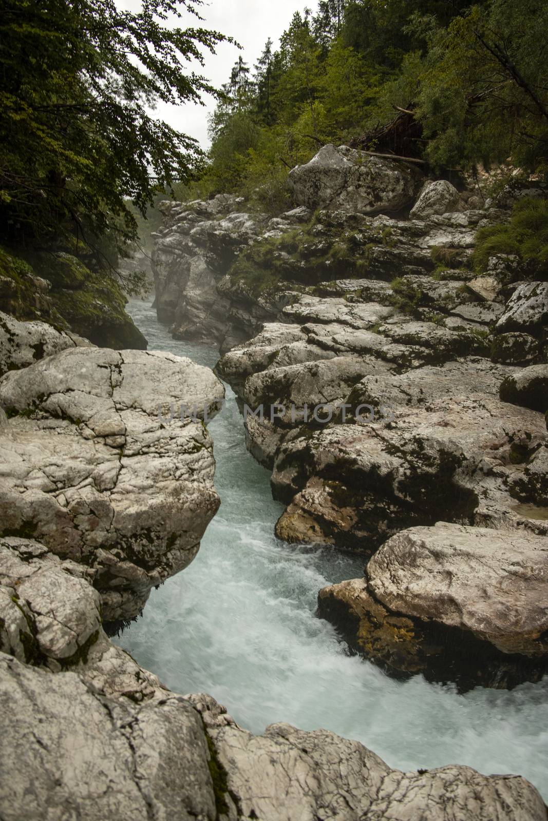 soca river in slovenia in summer