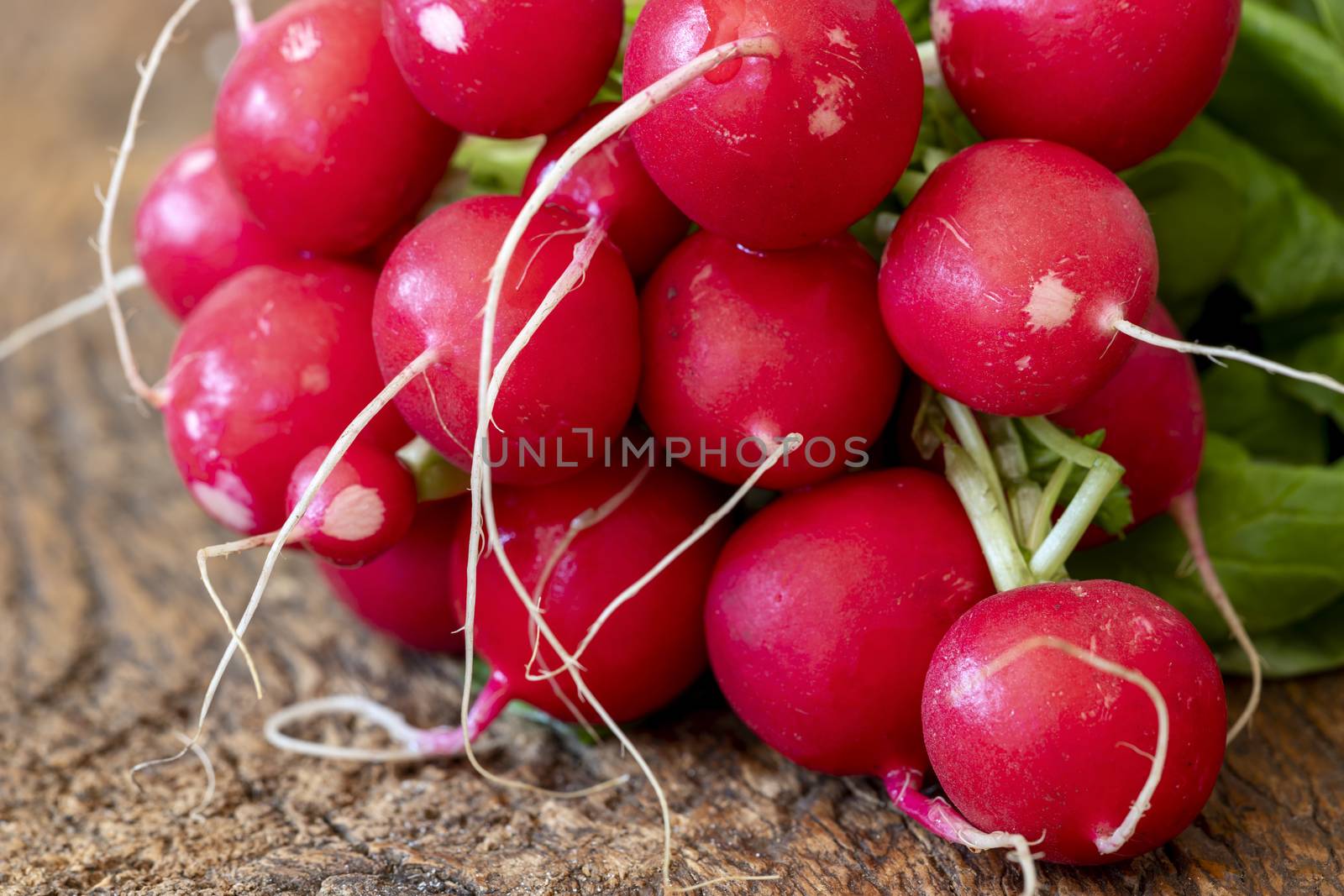 fresh red radish on dark wood