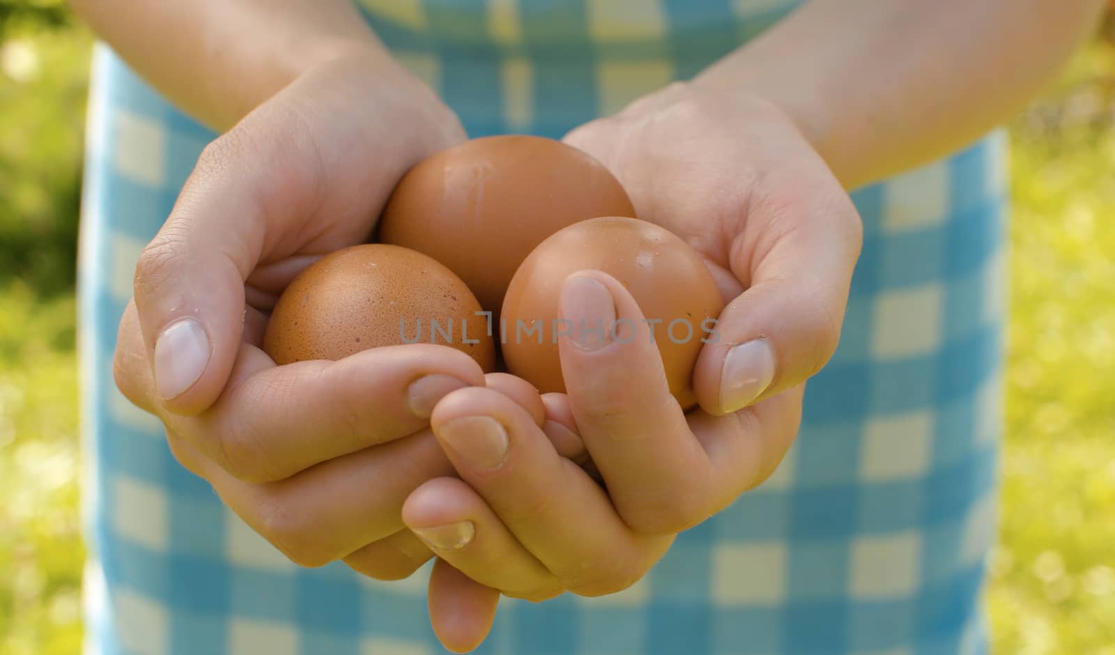 Close up fresh brown eggs in female hands. Rural life, harvesting
