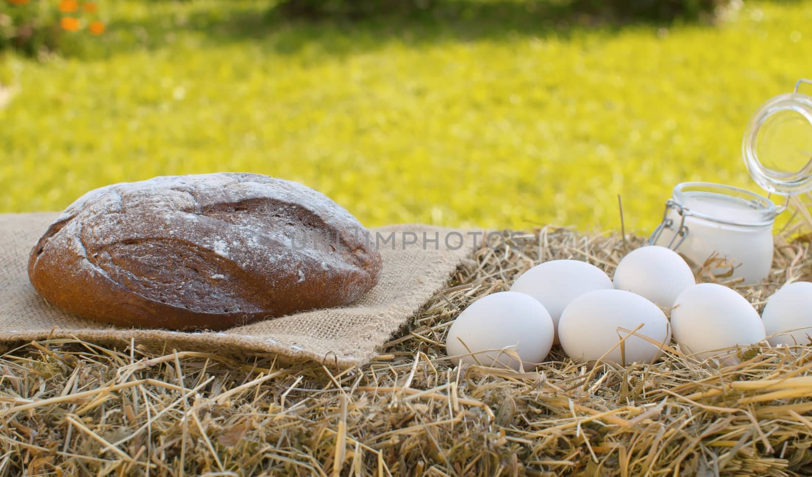 Close up sour cream, traditional baked bread and chicken eggs on fresh hay. Natural organic handmade food