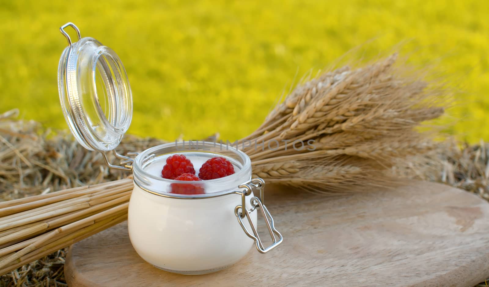 Close up shot of yogurt with raspberries and sheaf of ripe rye ears on a wooden cutting board in the garden at summer day