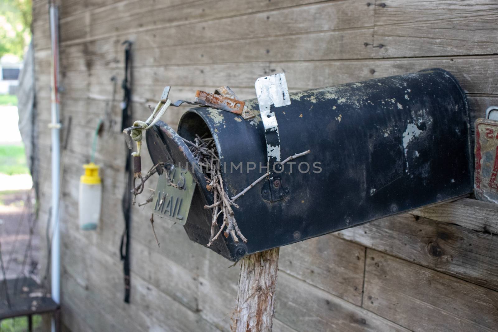 Old Abandoned country mail box with bird nest inside it on the side of a shed by gena_wells