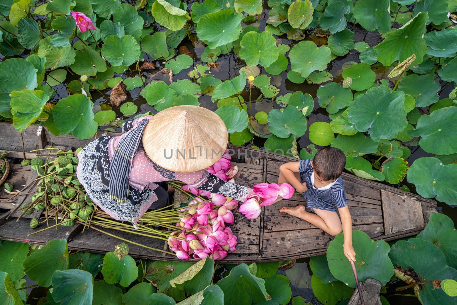 Top view of vietnamese boy playing with mom over the traditional wooden boat when padding for keep the pink lotus in the big lake at thap muoi, dong thap province, vietnam, culture and life concept
