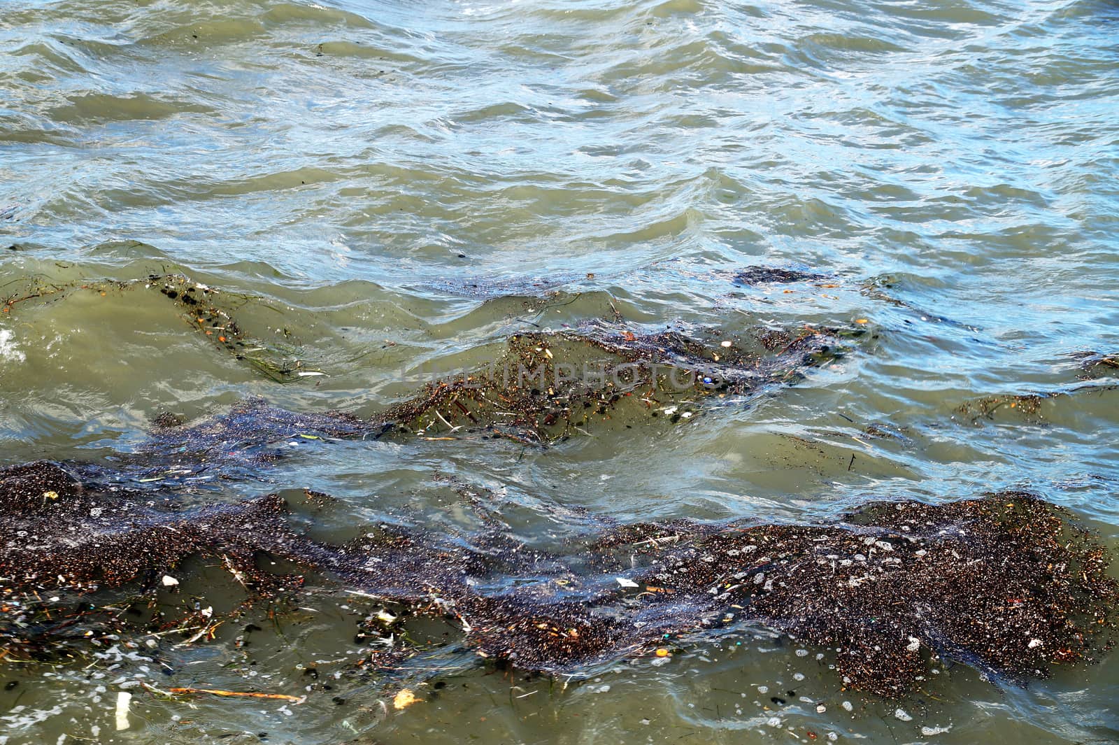 environmental pollution, garbage floating in the sea close up