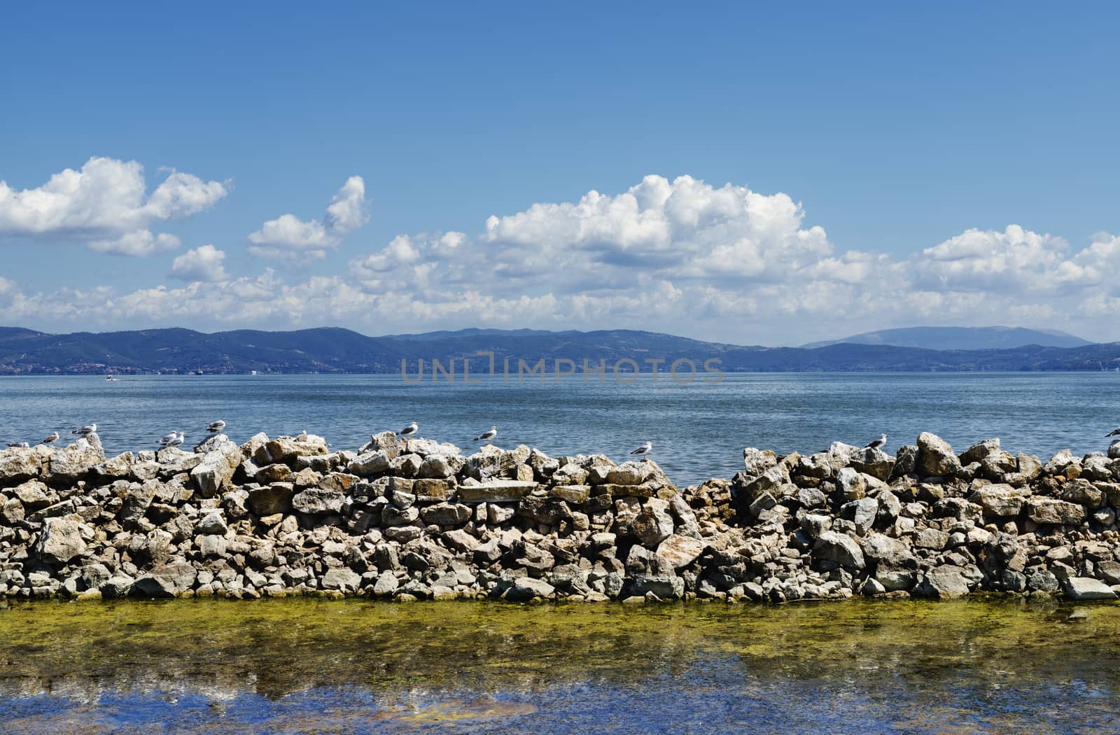 Seagulls on seawall view from shore in the Trasimeno Lake -Italy - , calm water , beautiful water reflections ,in the background mountains