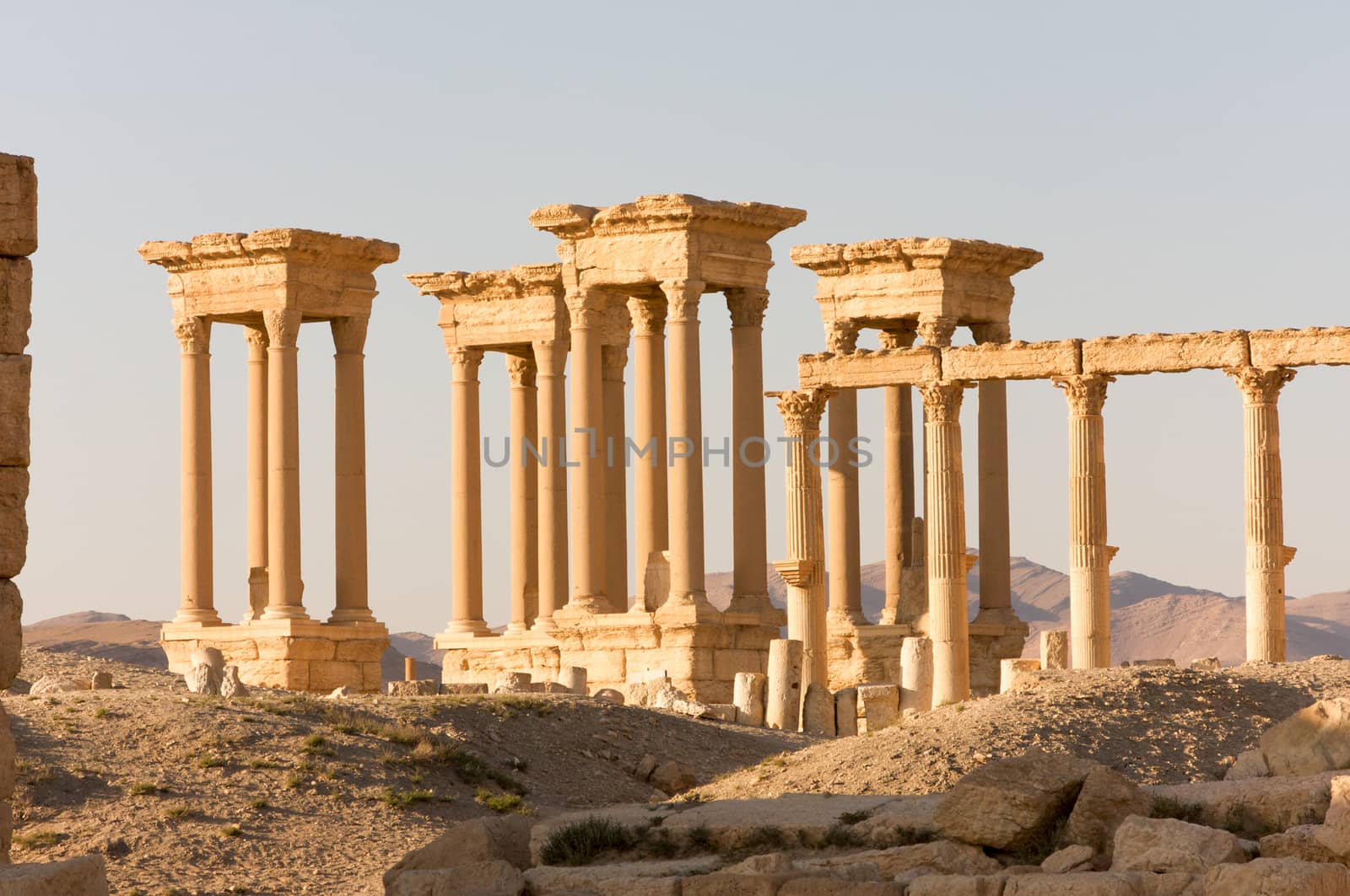 Palmyre Syria 2009 This ancient site has many Roman ruins, these standing columns shot in late afternoon sun are Tetrapylon, a set of four monuments with four columns each at the center of the colonnaded road leading to a Roman-era amphitheater . High quality photo