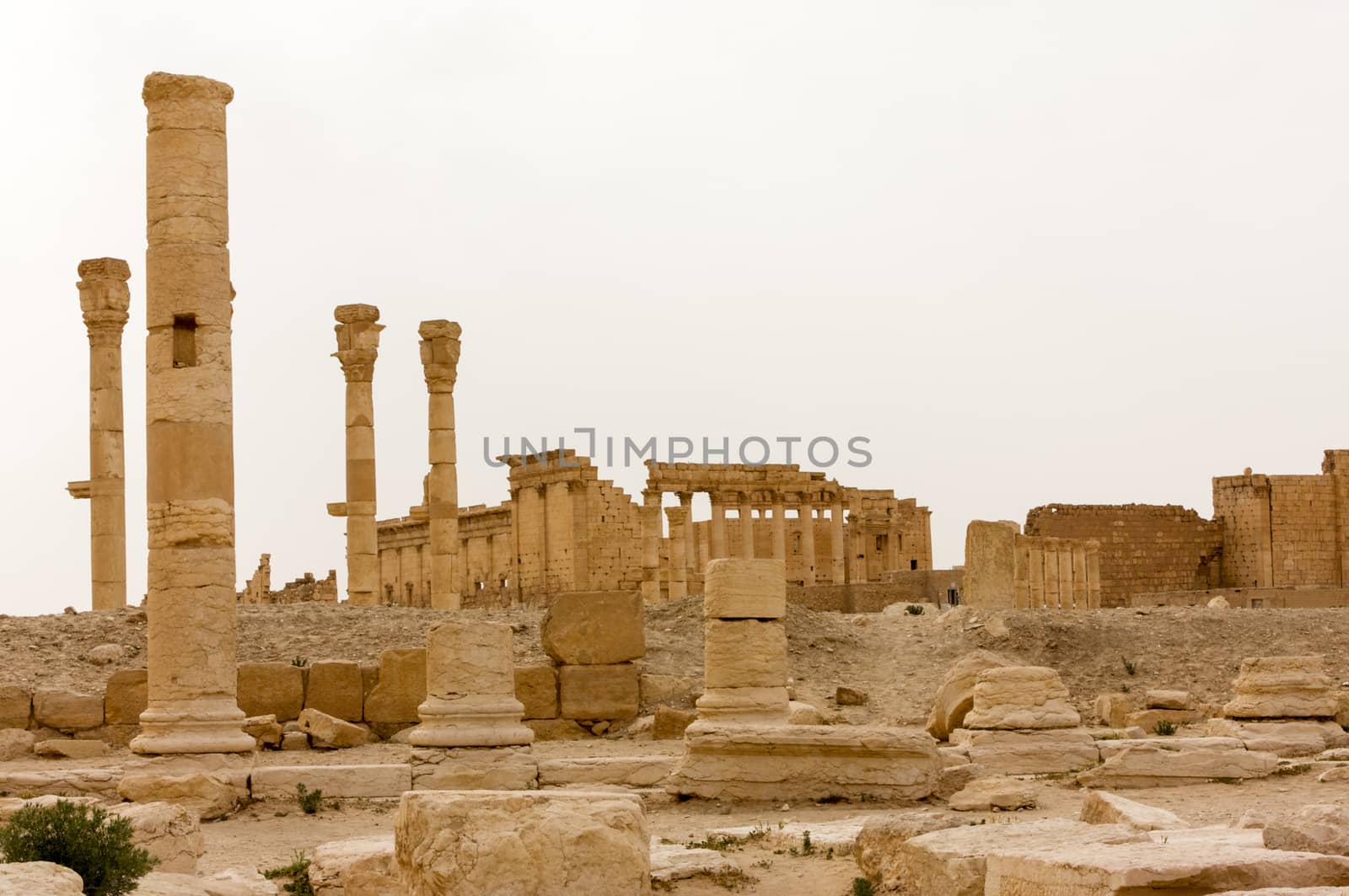 Palmyre Syria 2009 The ruins of an ancient city dating from the Roman period by kgboxford